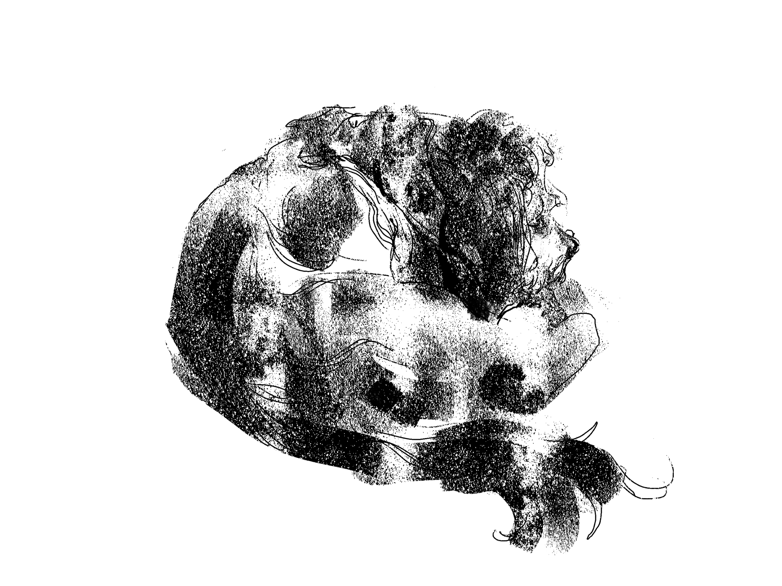 1CF03422-06D7-4C9B-B93D-0129D6052D0C (1).png