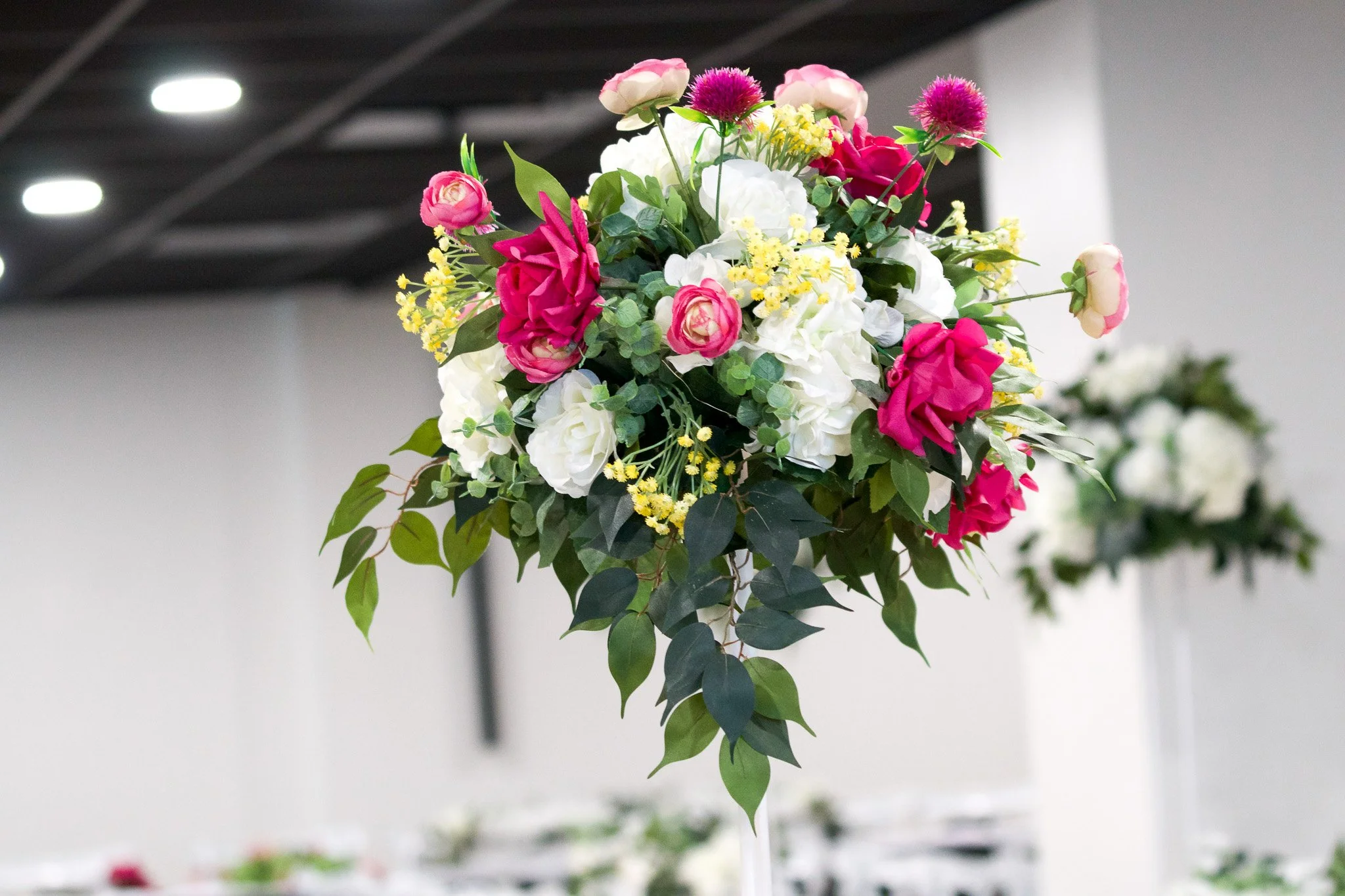 DSC04214.jpg