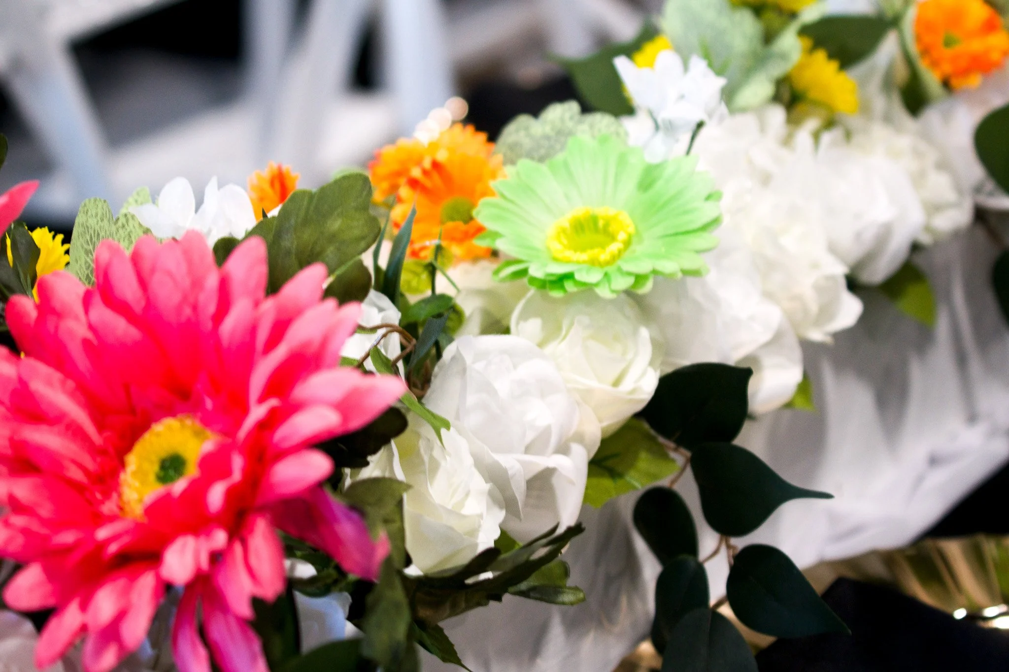 DSC04110.jpg