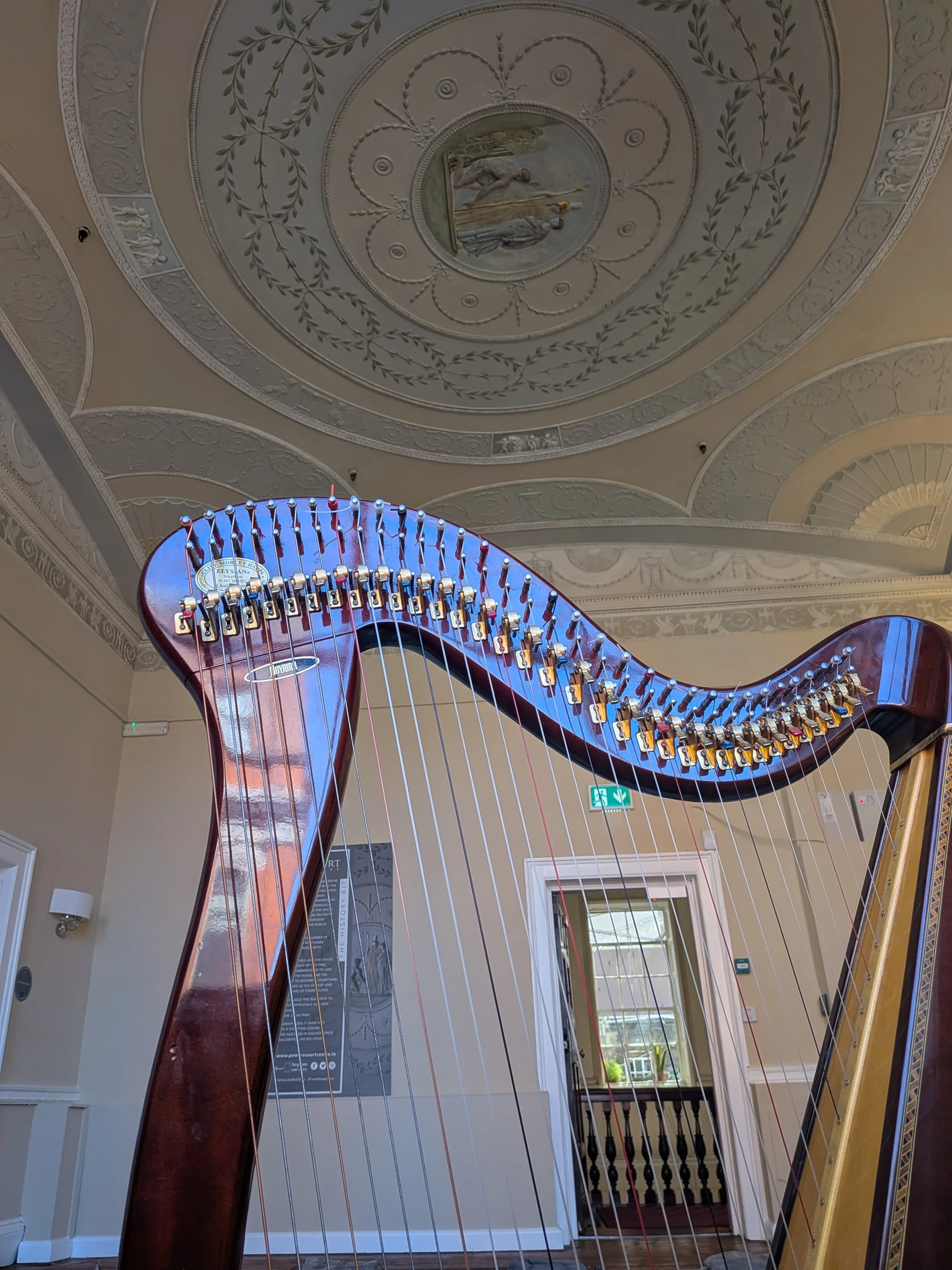 harpinthemusicroominthepowerscourt.jpg
