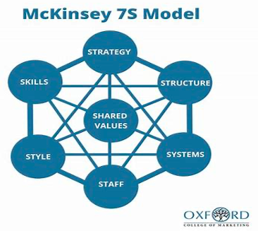 Why Healthy Longevity Clinics Struggle to Sustainably Scale — A Systems Perspective