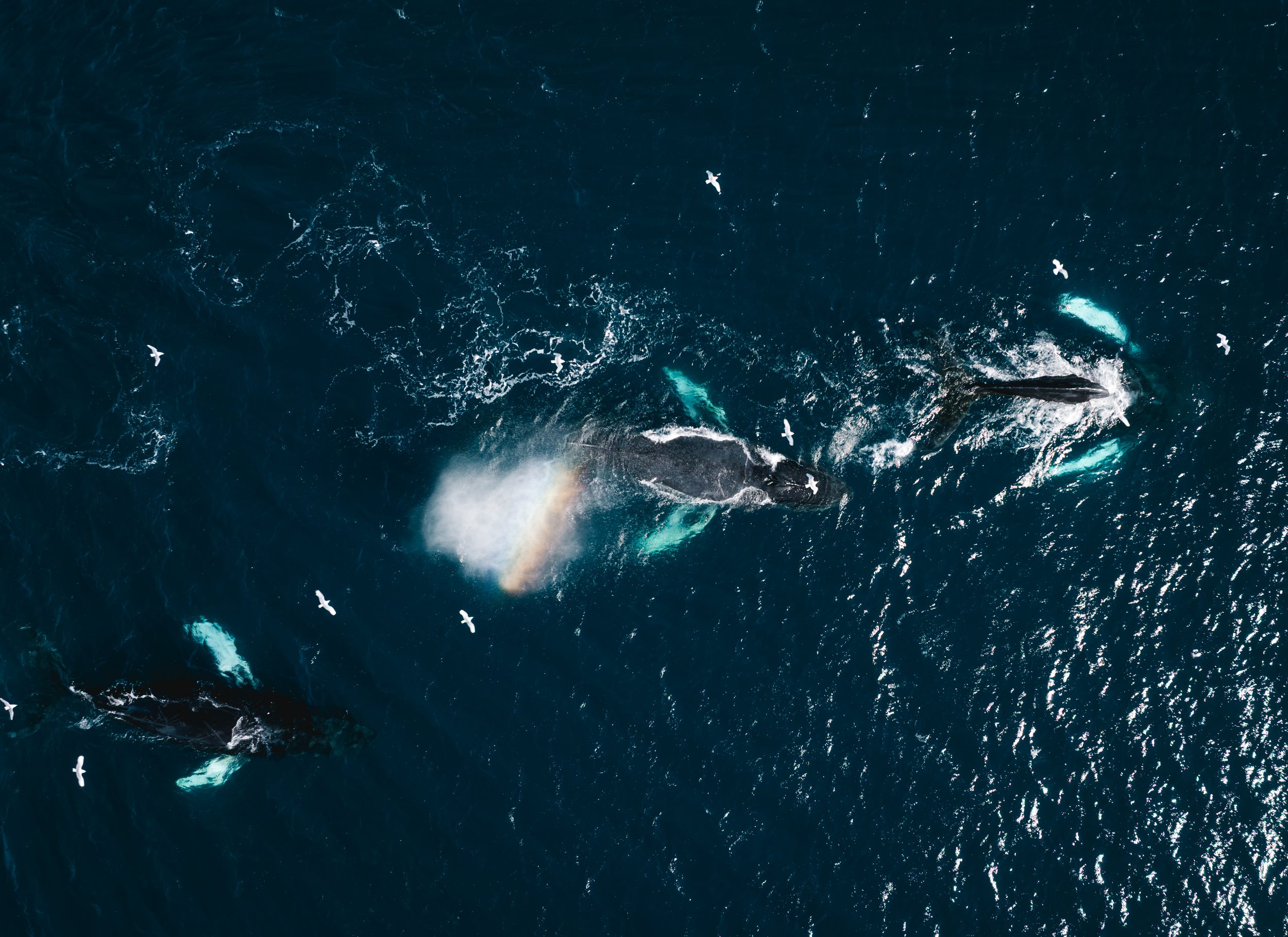 DJI_20260716092315_0187_D.jpg
