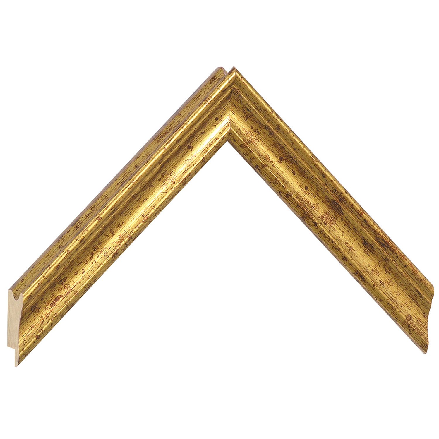256ORO.jpg