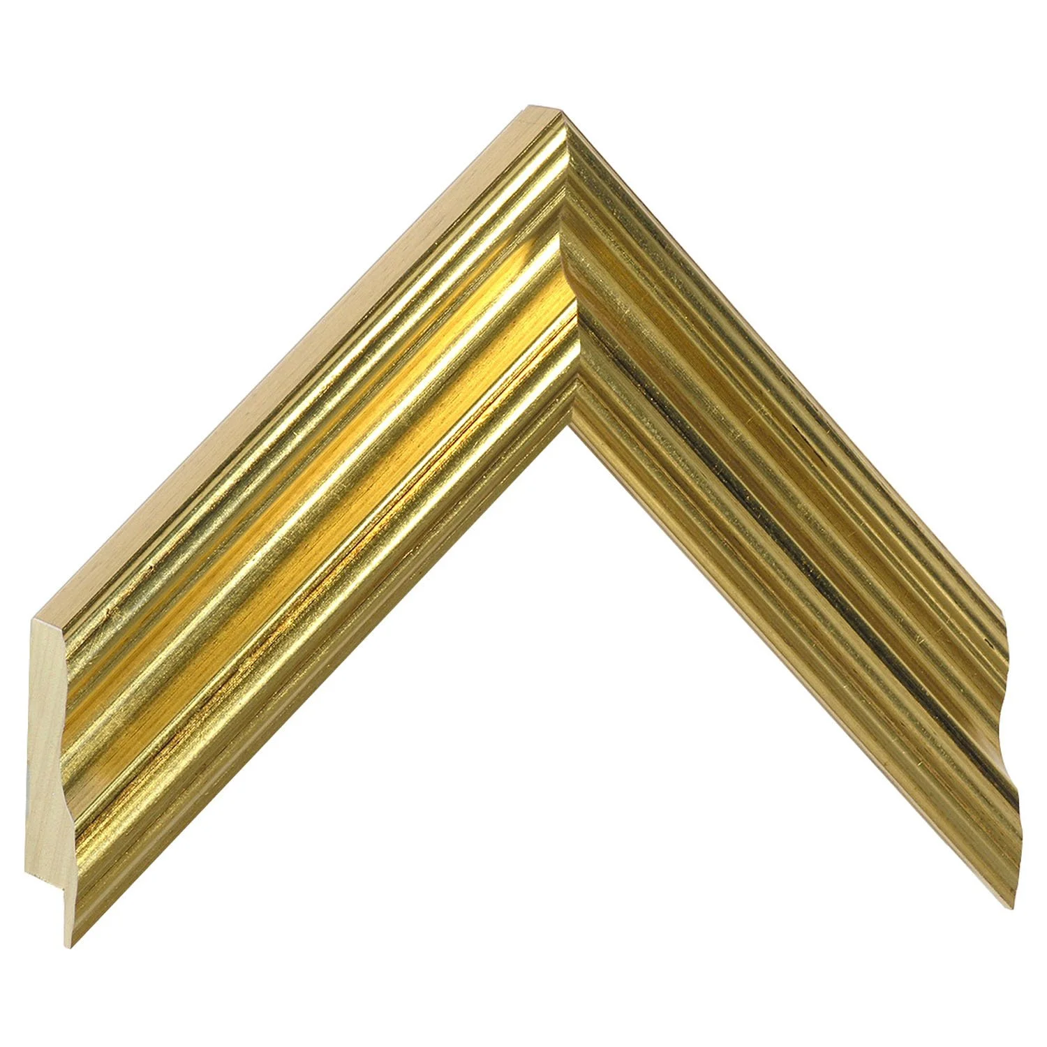 821ORO.jpg