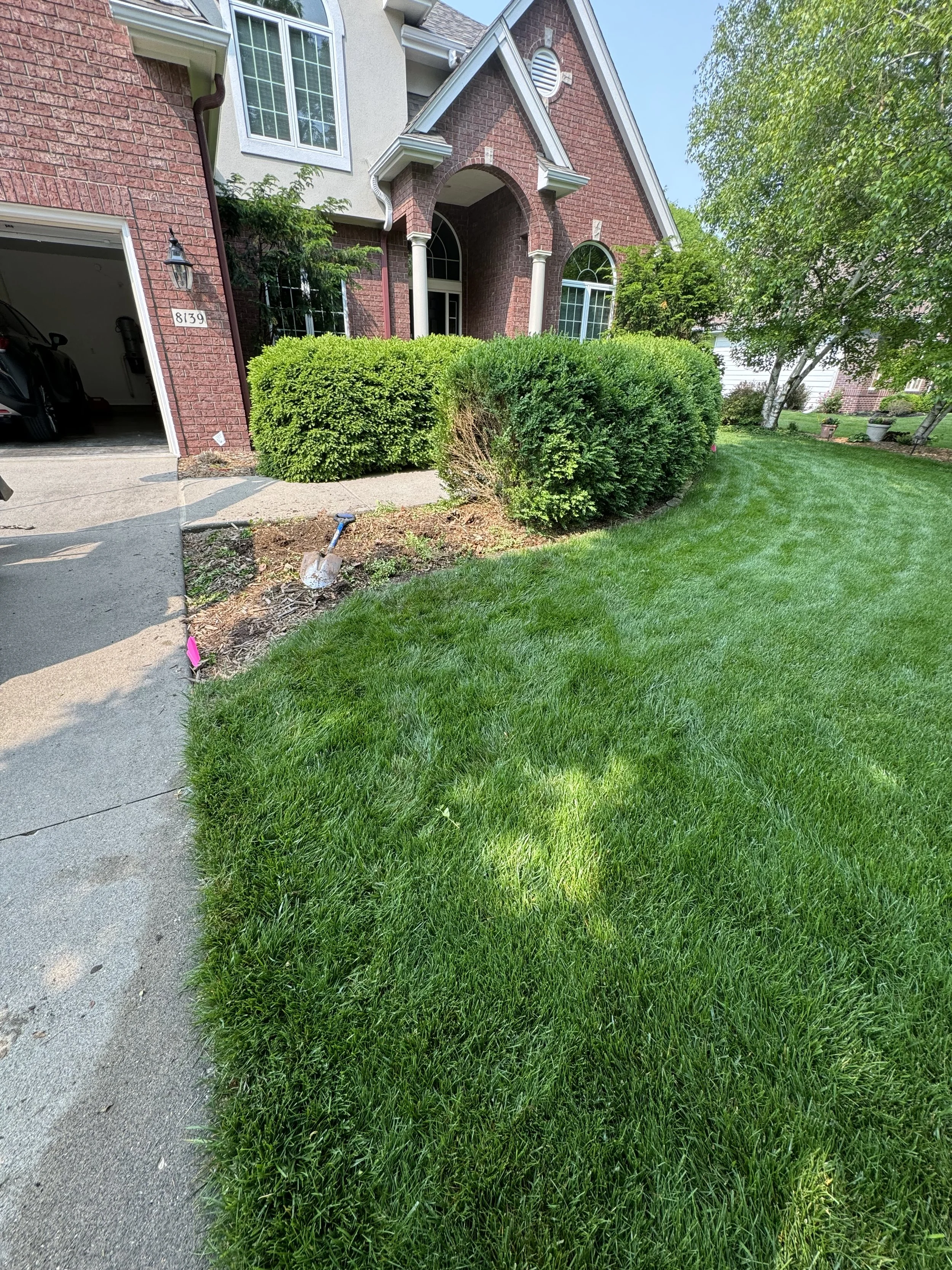 Front yard of a house with green lawn, bushes near the entrance, and a tree on the right side.
