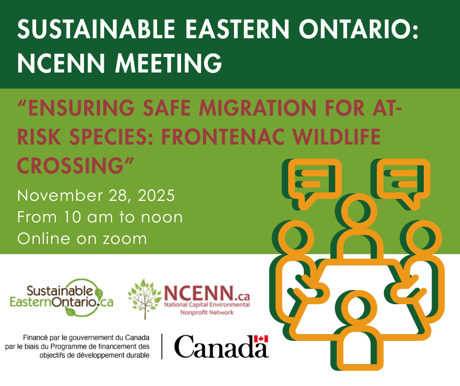 NCENN Meeting