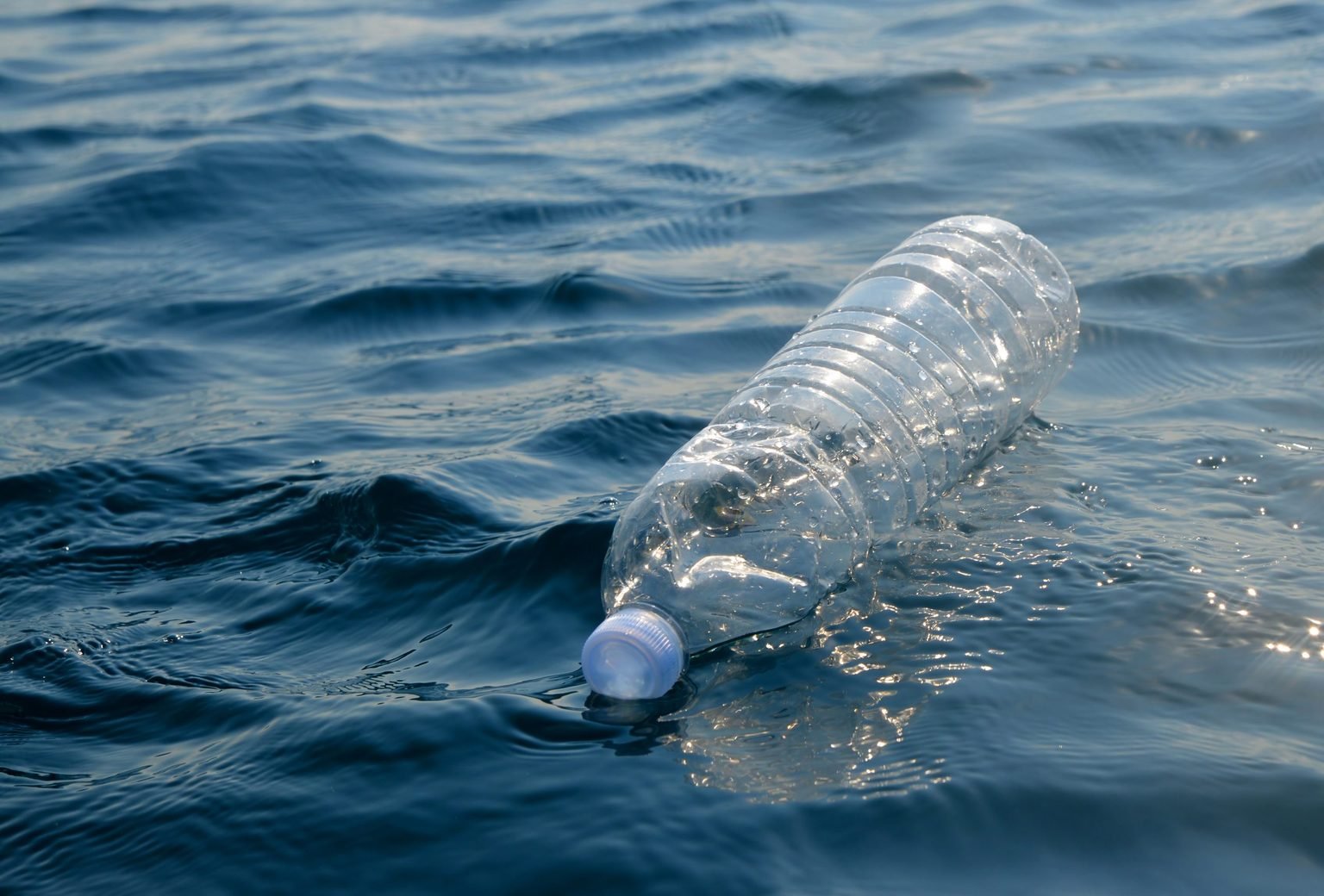 Water soluble water bottles?