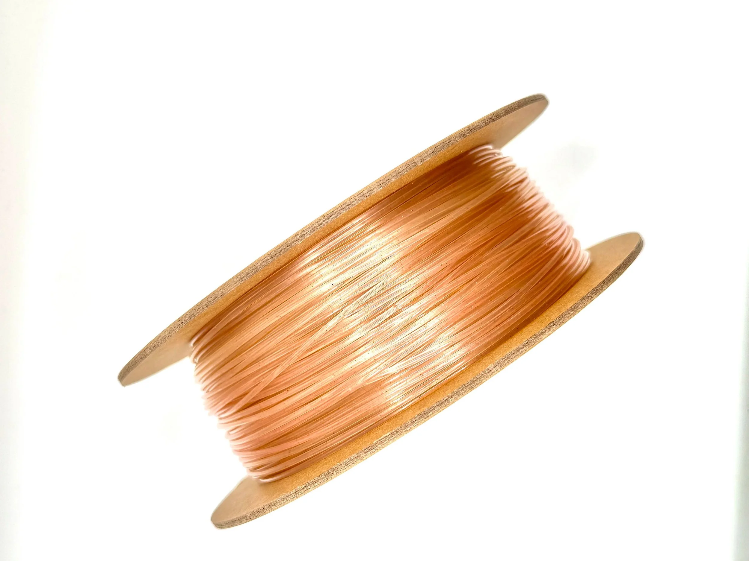 Coral Food