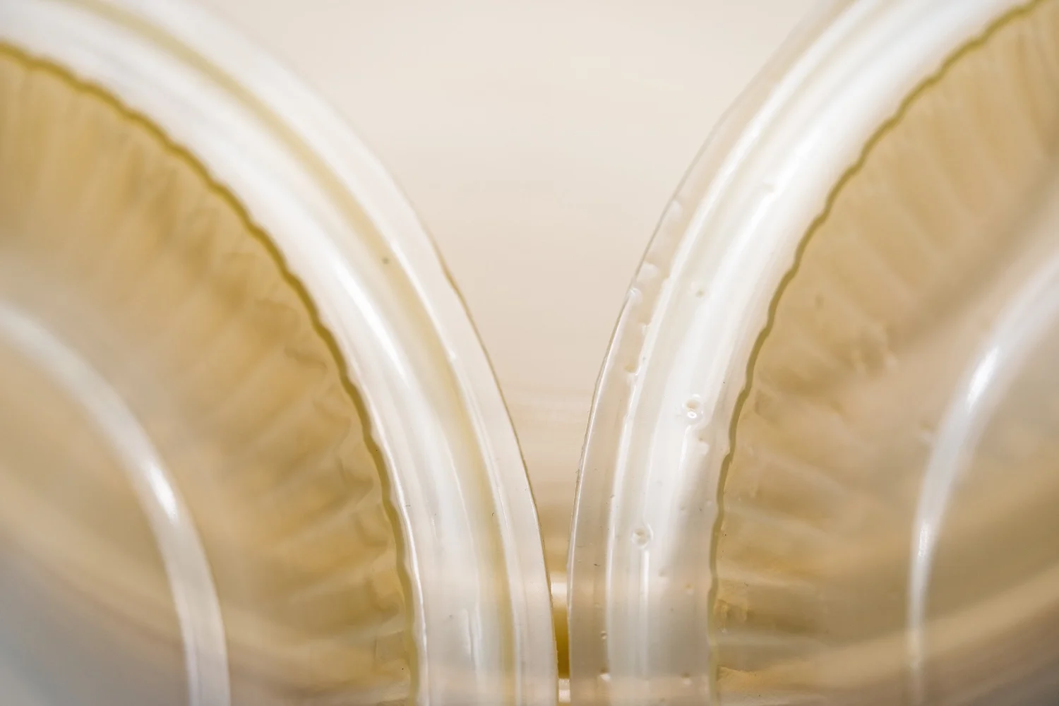 Raw Discover Sustainable Solutions Now Timeplast