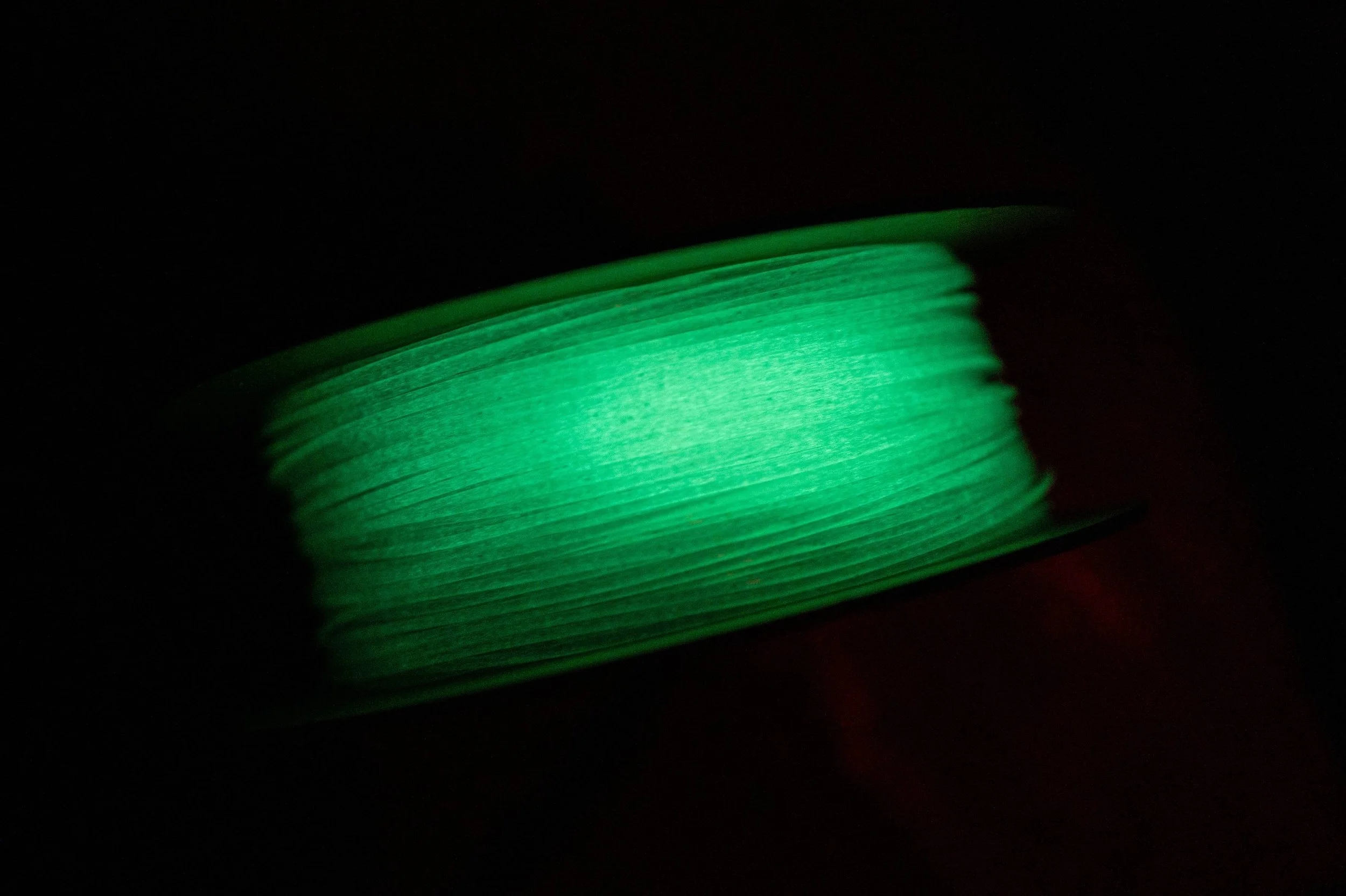 L1000968.jpg