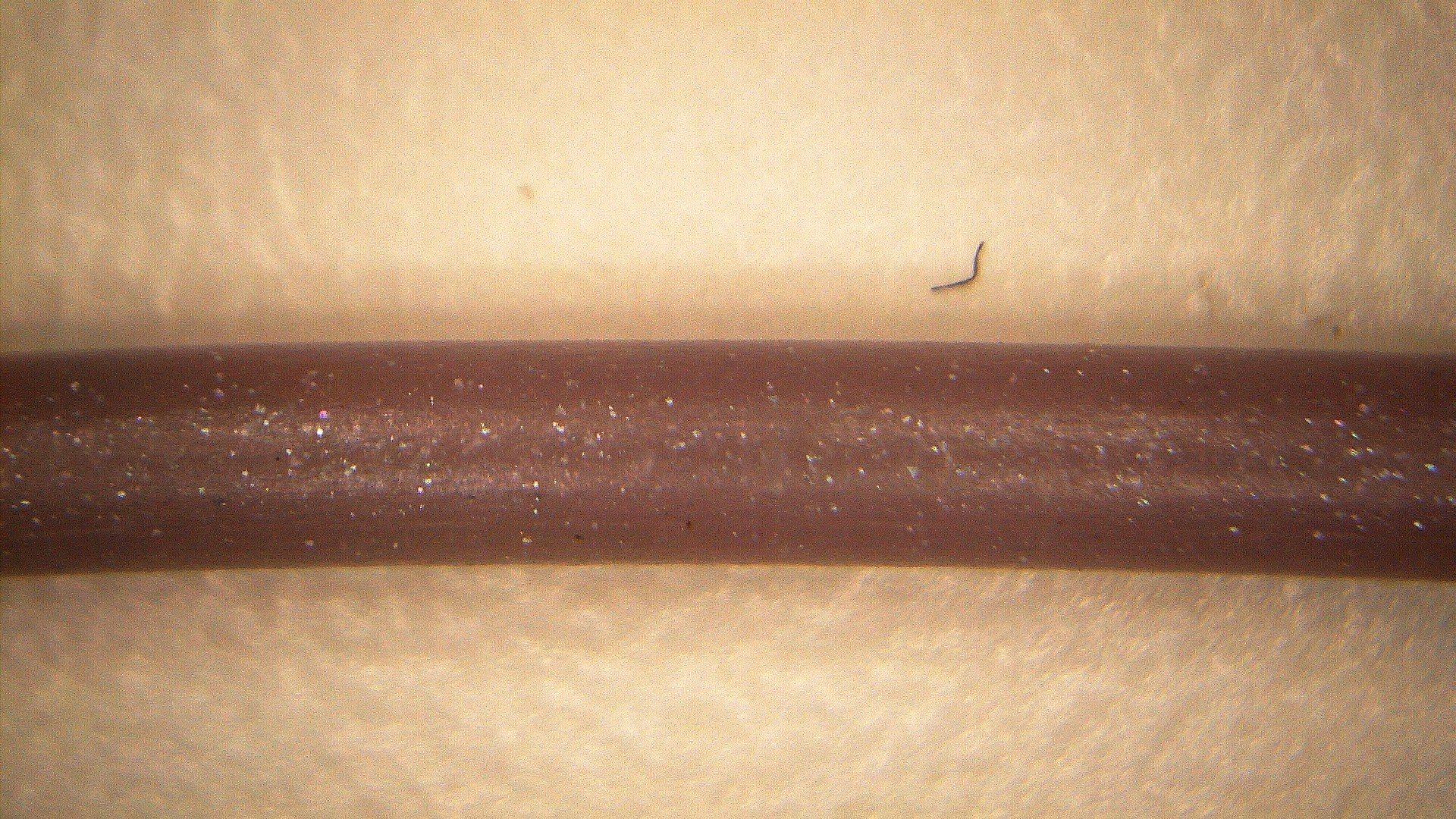 PICA0023.jpg