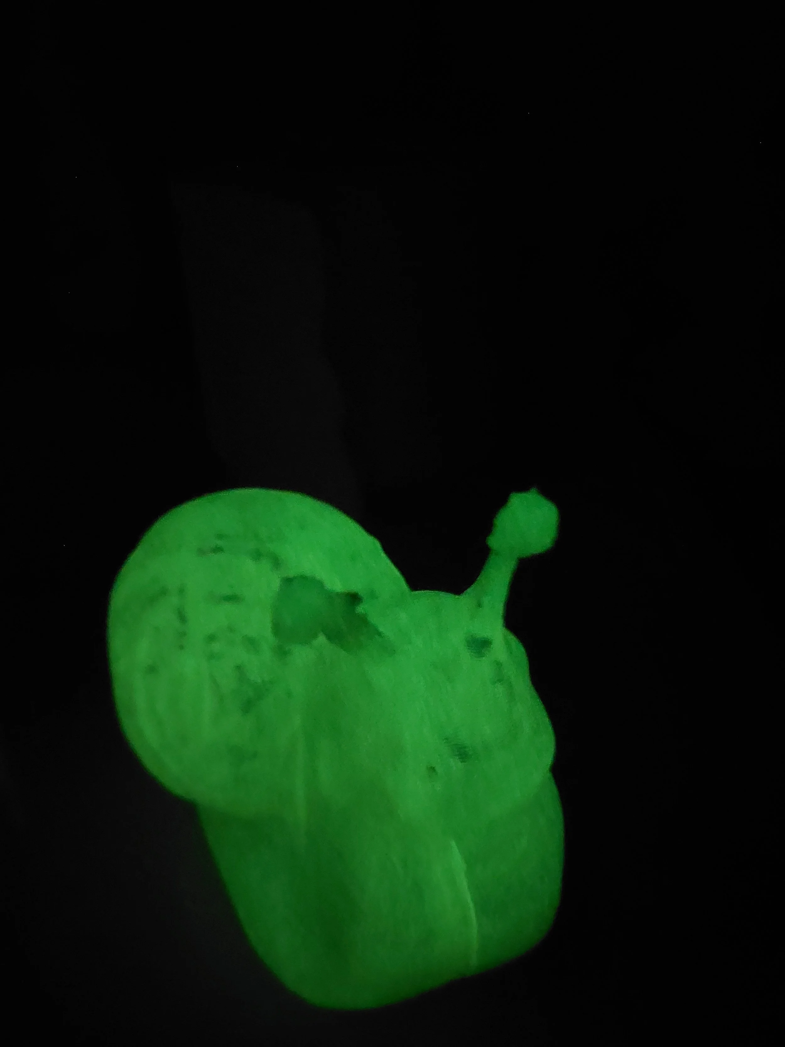 Snail Glow.jpg