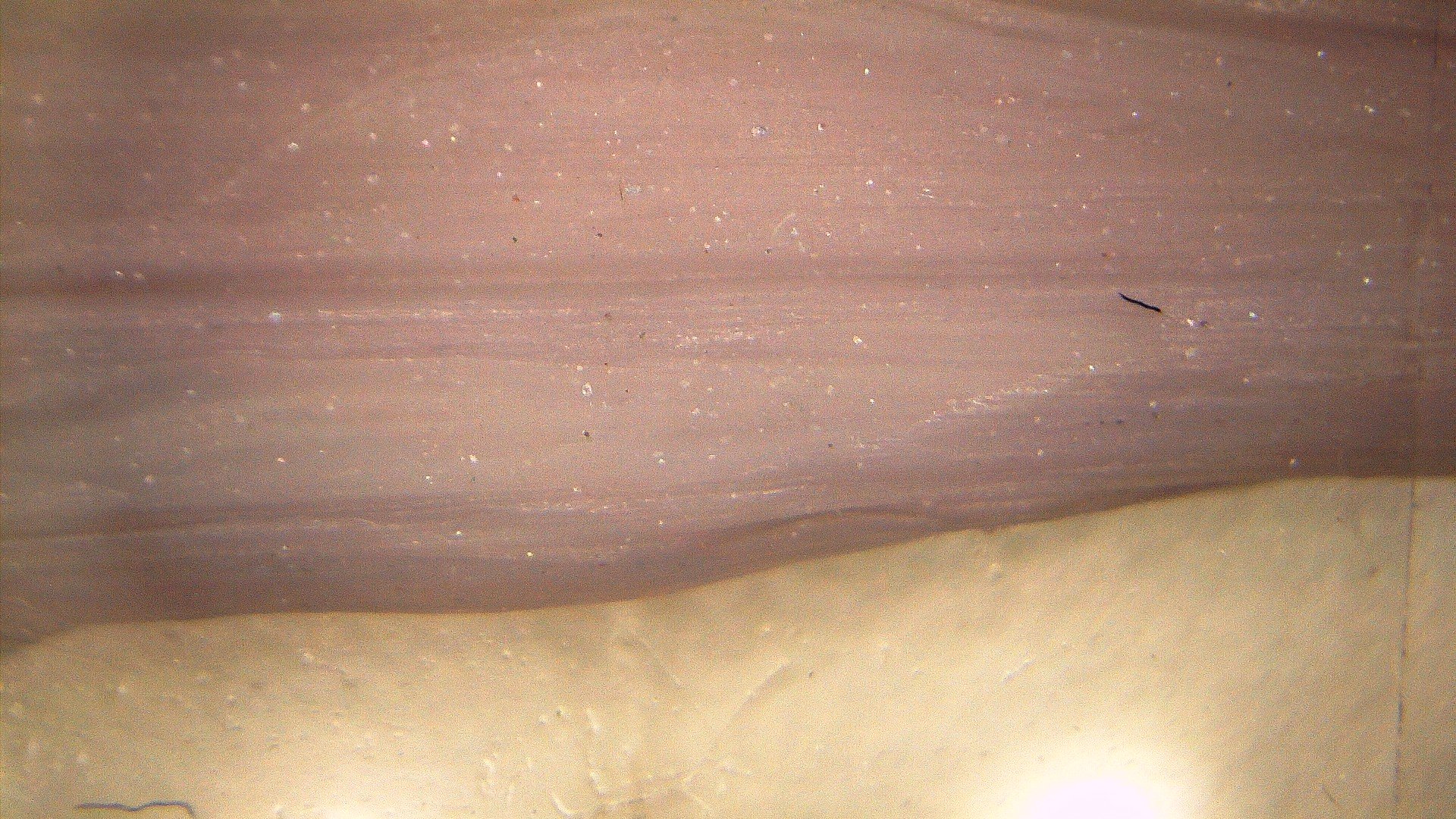 PICA0019.jpg