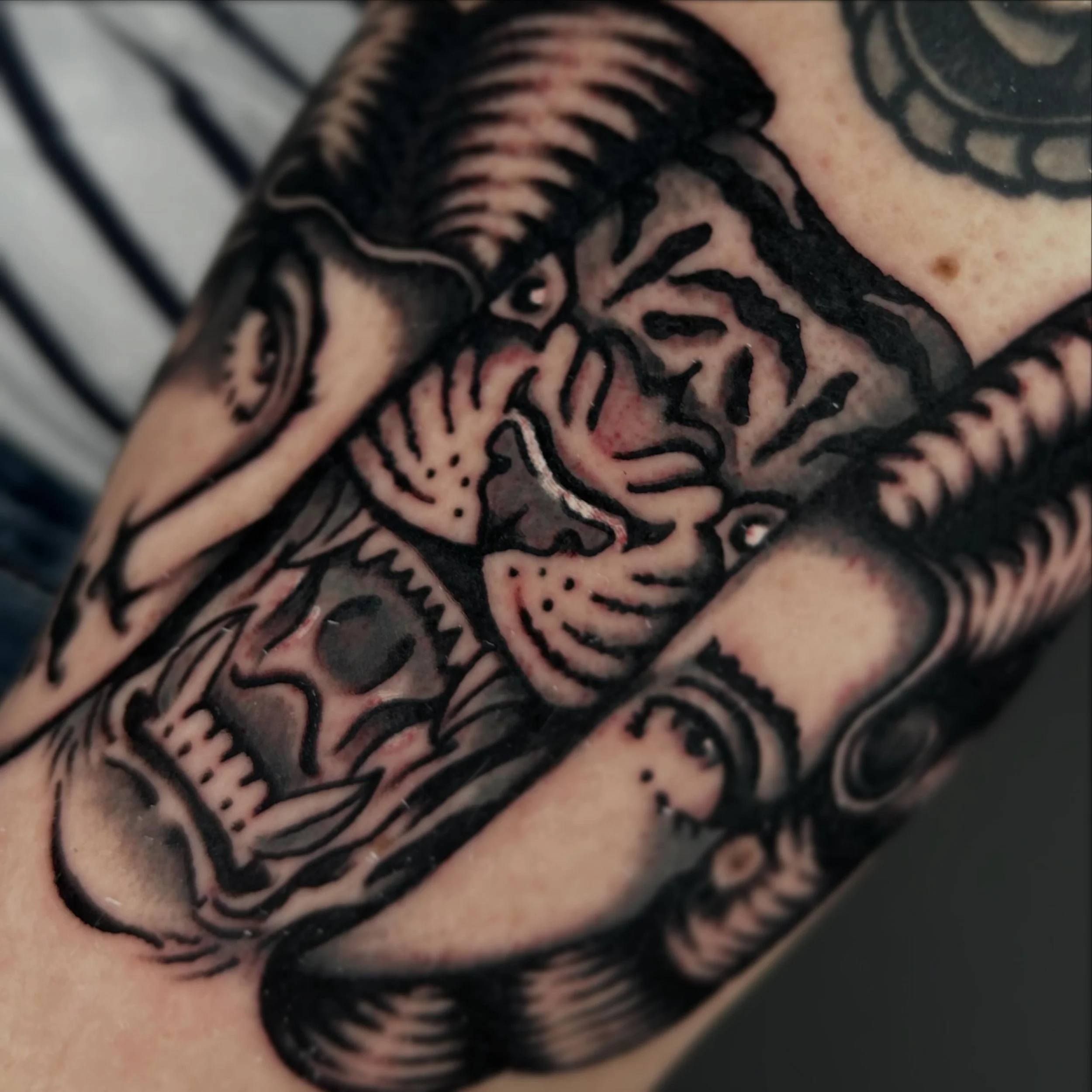 F296D957-D0C4-4A26-A2A7-EE8DAE44FB8F.JPG