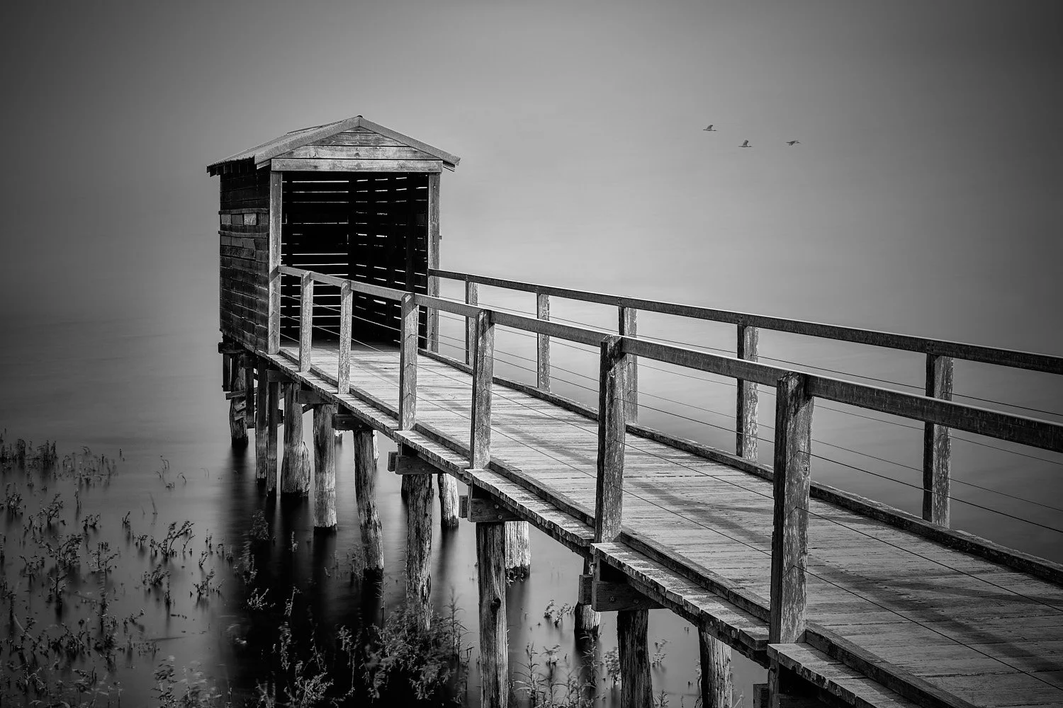Bibra Lake Bird Hide