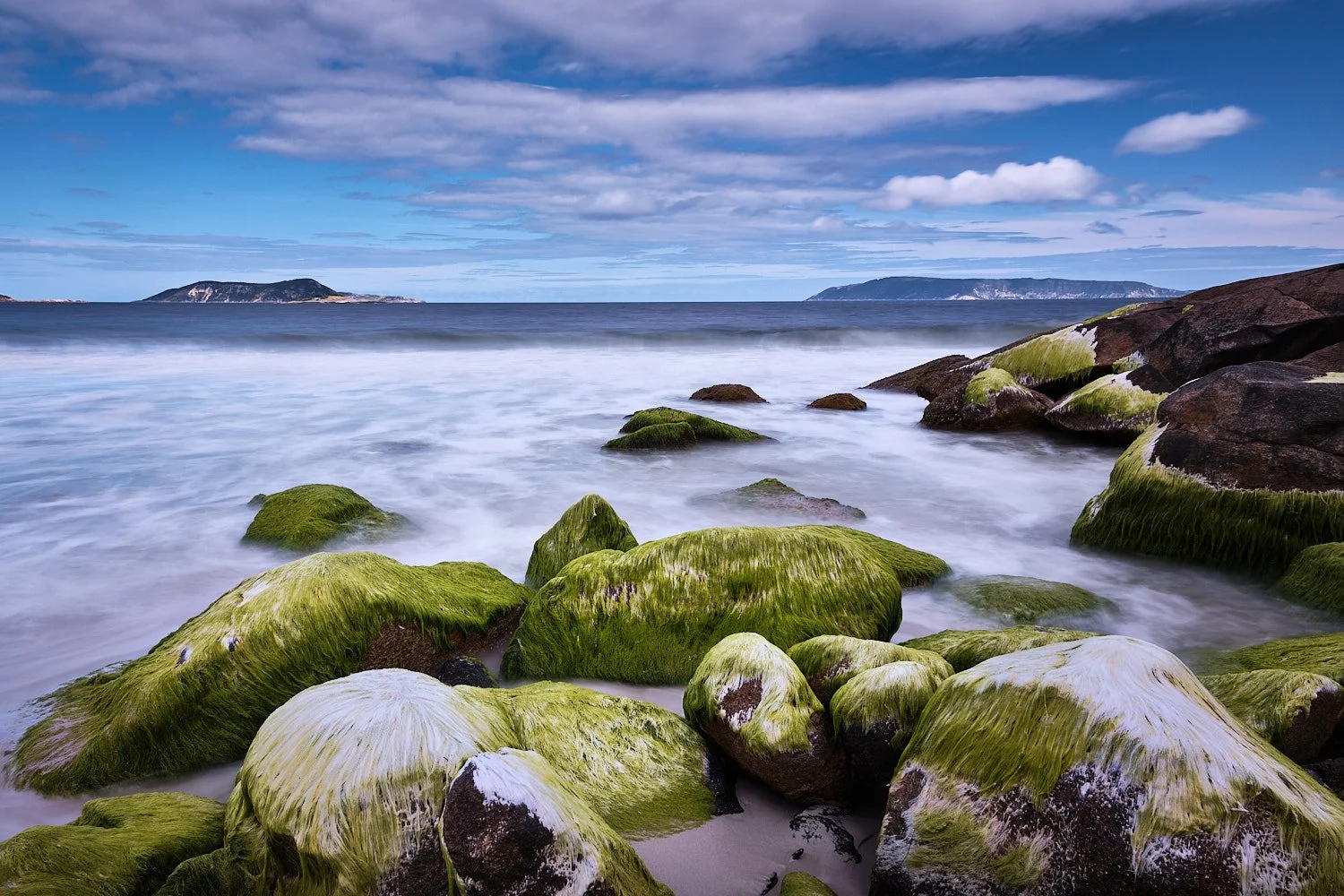 Mossy Rocks