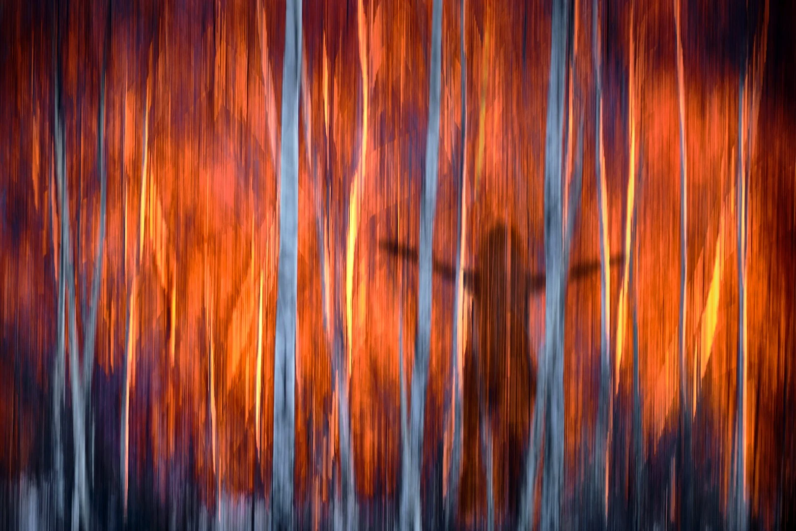 Into the Fire