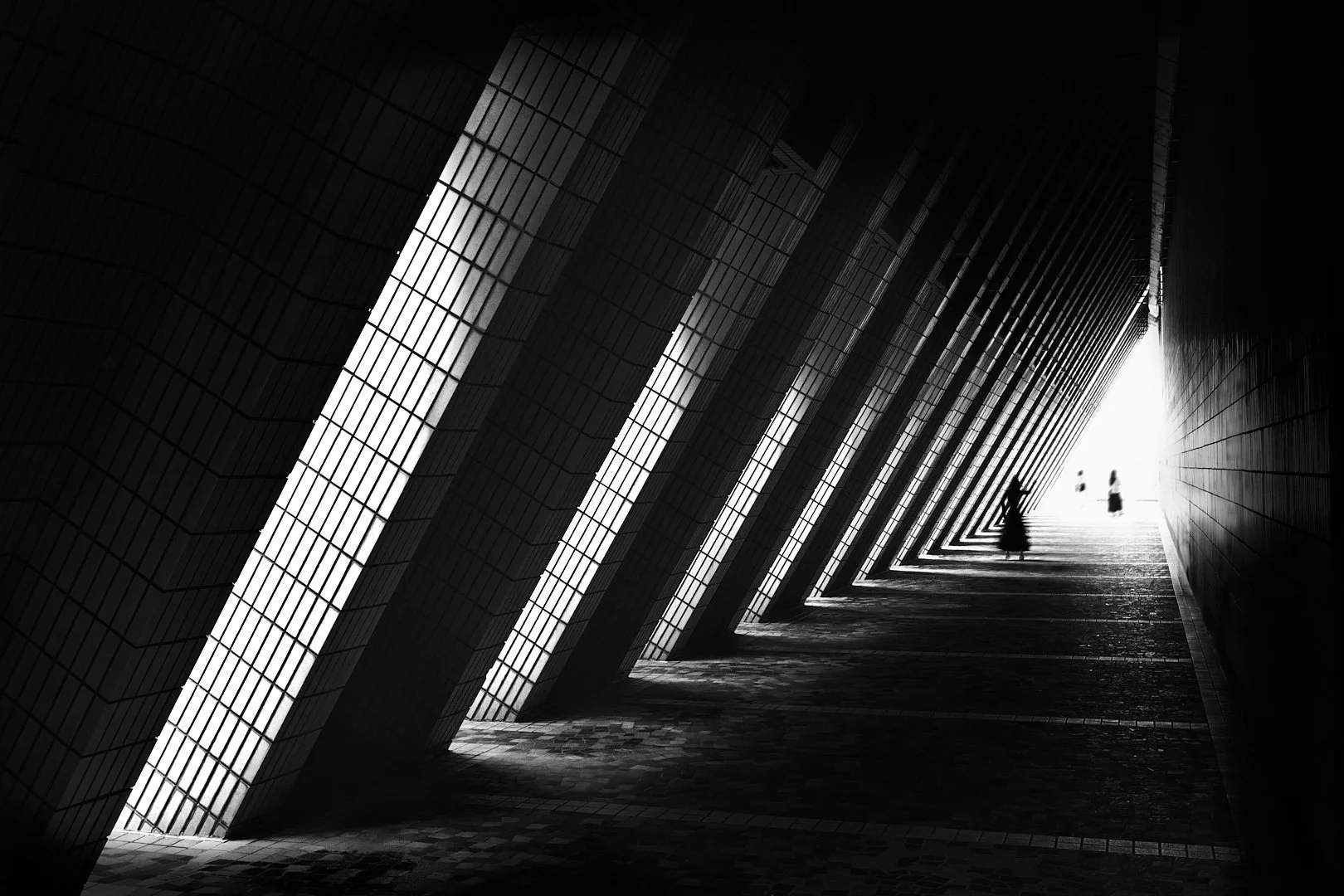 Into the Light