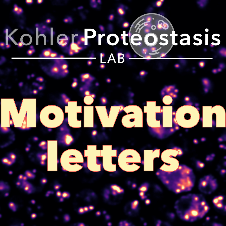 A Motivation Letter That Stands Out