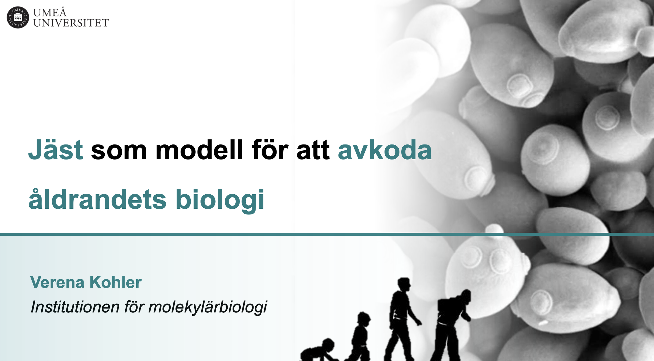 Finding Your Path by Trying