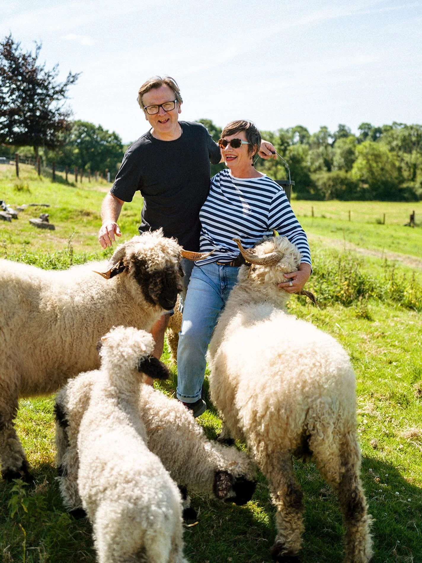 Under attack in the best possible way. Photo by @story.bord #valaisblacknosesheep #mavisthelamb #cutestsheepintheworld #organicsheep #organicfarming #rawwoolfelting #felting #feltingwool #pegloomweaving