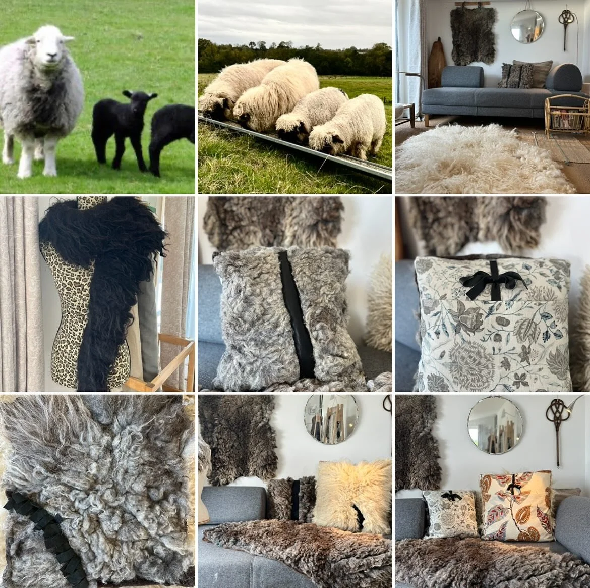 I got a chance this morning to scroll back through photographs from the past year,  and out of the hundreds, possibly thousands these represent a really lovely year working with Sheep and wool. #organicsheepfarming #wildwool #feltedwool #irishwool