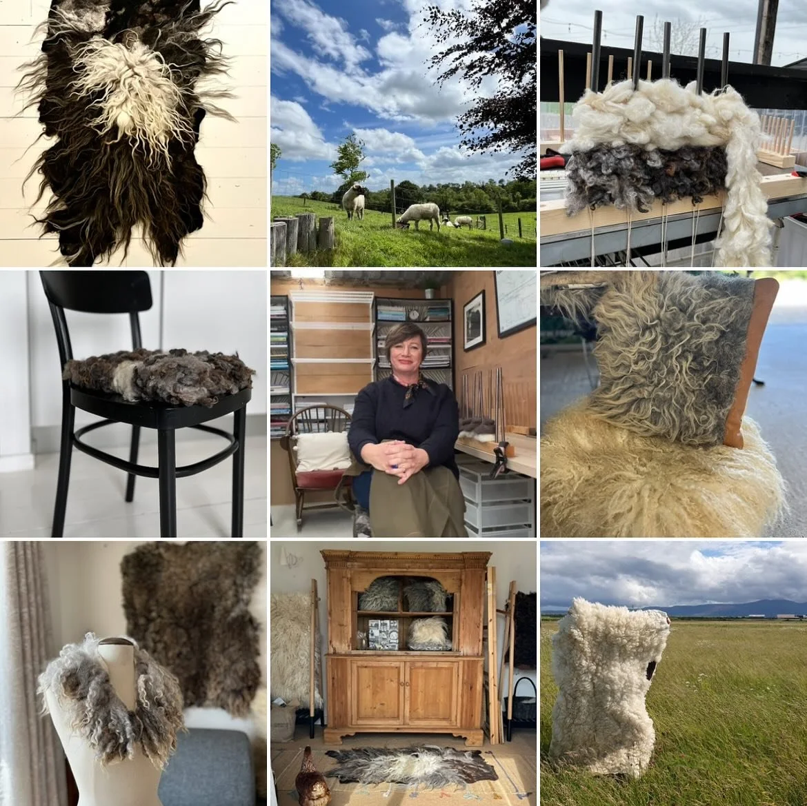 Wool wool and more wool #irishgrownwool #organicsheepfarming #rarebreedsheep