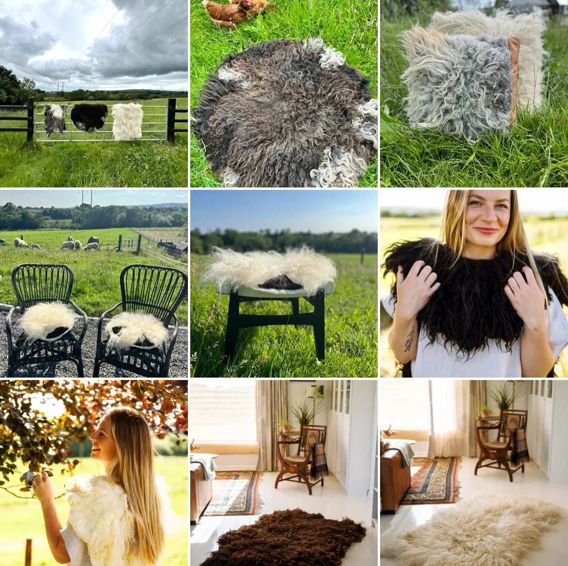Wild wool, felted into rugs, cushions, seat pads &amp; collars #wildwool #organicfarming #rarebreedsgeep