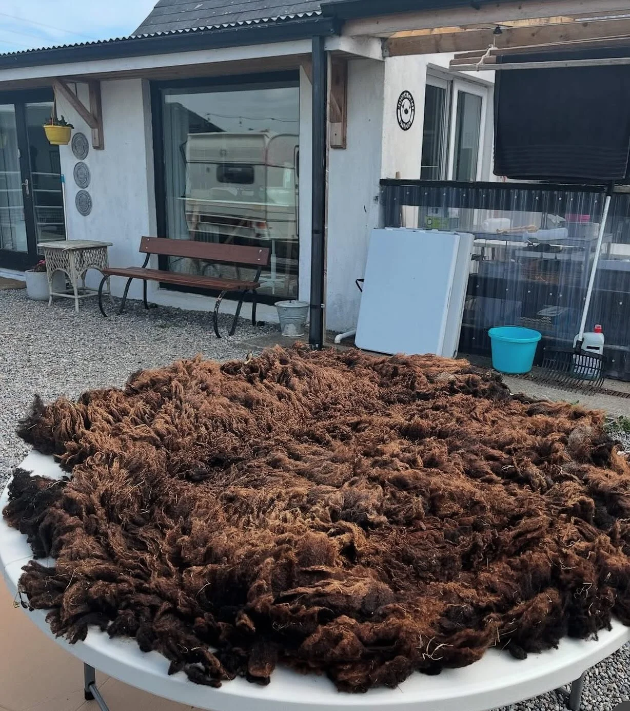 Large scale felting - outdoors is the only way! #organicwool #irishgrownwool #feltedwool