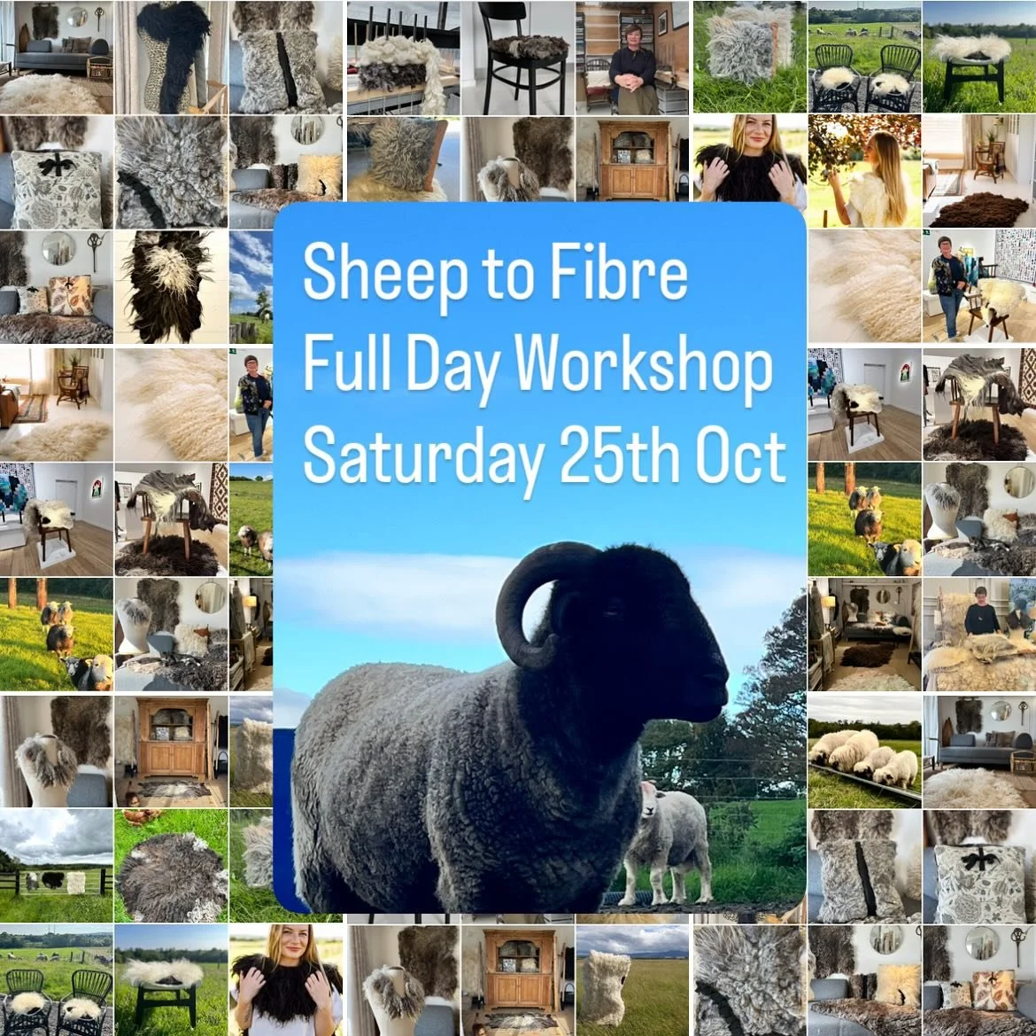 Next Saturday from 10 am until 5 pm there is a full day Sheep to Fibre full experience workshop, on which there are still a couple of places. See the link in stories or follow the link in bio to find out more information.  #craftworkshopsireland #woo