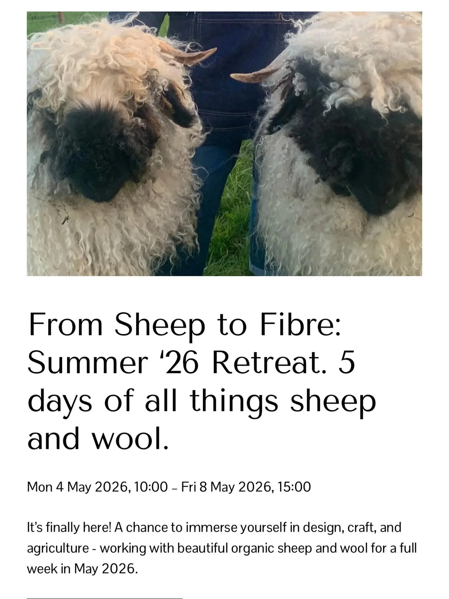 A week-long programme on all things wool is now scheduled for next May. An immersive learning experience for those who wish to understand the broad and complex world of wool fibre: how it is grown, how it is harvested and how it is produced into text