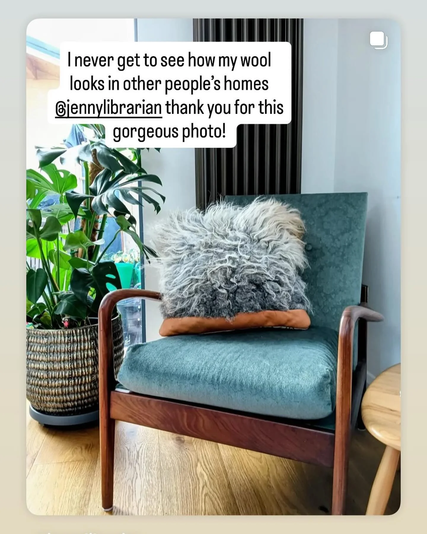 What a beautiful chair and a such a gorgeous space that my handcrafted cushion has ended up in! The world comes from my purebred Herdwick ram Geronimo, the daddy of all our gorgeous lambs for the last three years. He has moved to a farm in Mullingar,