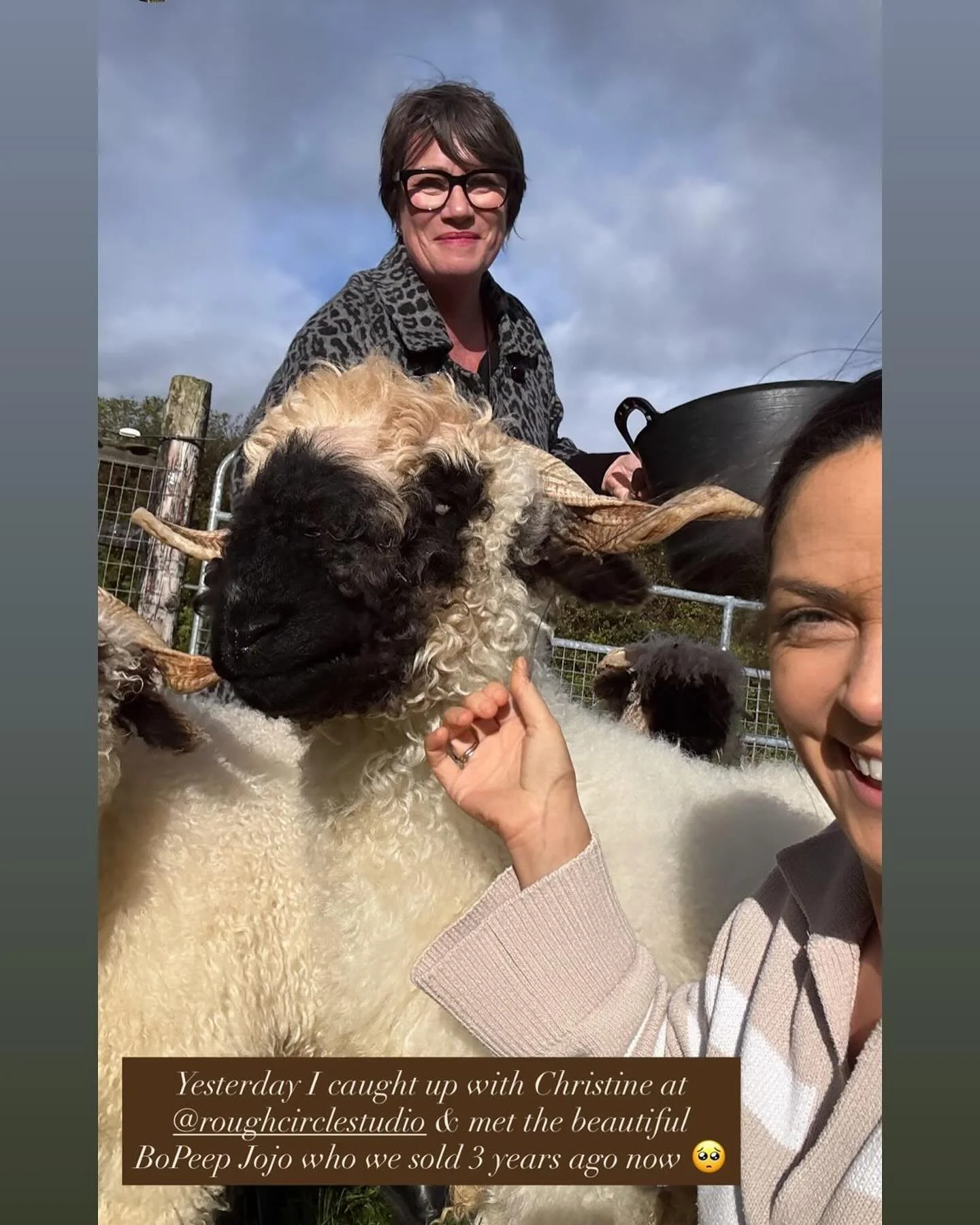 April and I would both talk for Ireland, and we still, after a full day non stop chats didn&rsquo;t get to chat about everything 😂 sheep nutters we are!! Jeenie and Jojo were the third and fourth lambs I bought from April and I&rsquo;m convinced by 