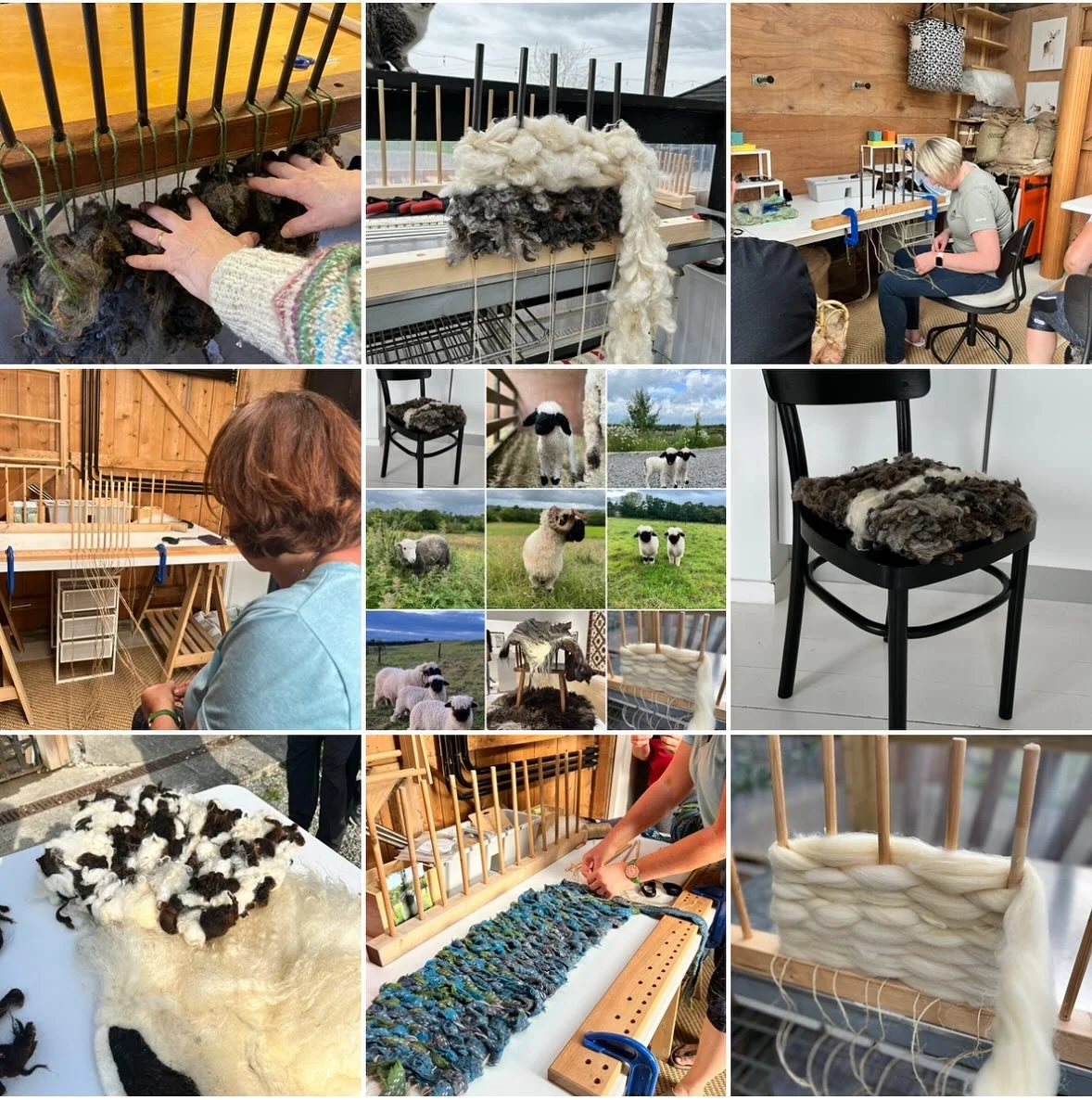 Upcoming full day workshop on Saturday November 8th, A Creative Day of Weaving. Participants will learn about how wool is grown, harvested, stored and processed so as to be suitable for spinning into yarn for small-scale and commercial weaving. Worki