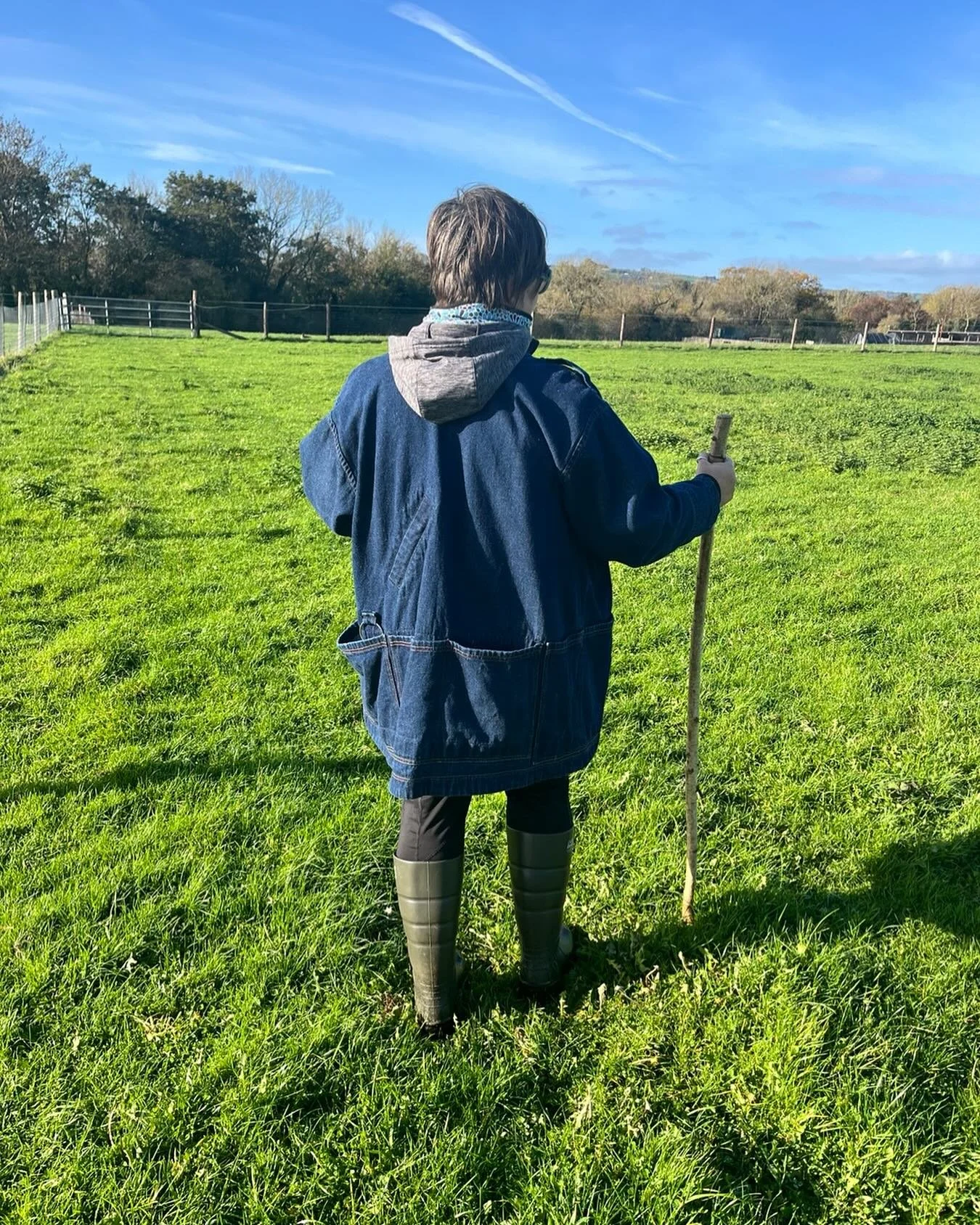 November brings the traditional and natural time when the rams go into the ewes for a couple of months. Gorgeous day for it. #organicsheepfarming #organicwoolfarming #rarebreedsheep #irishgrownwool