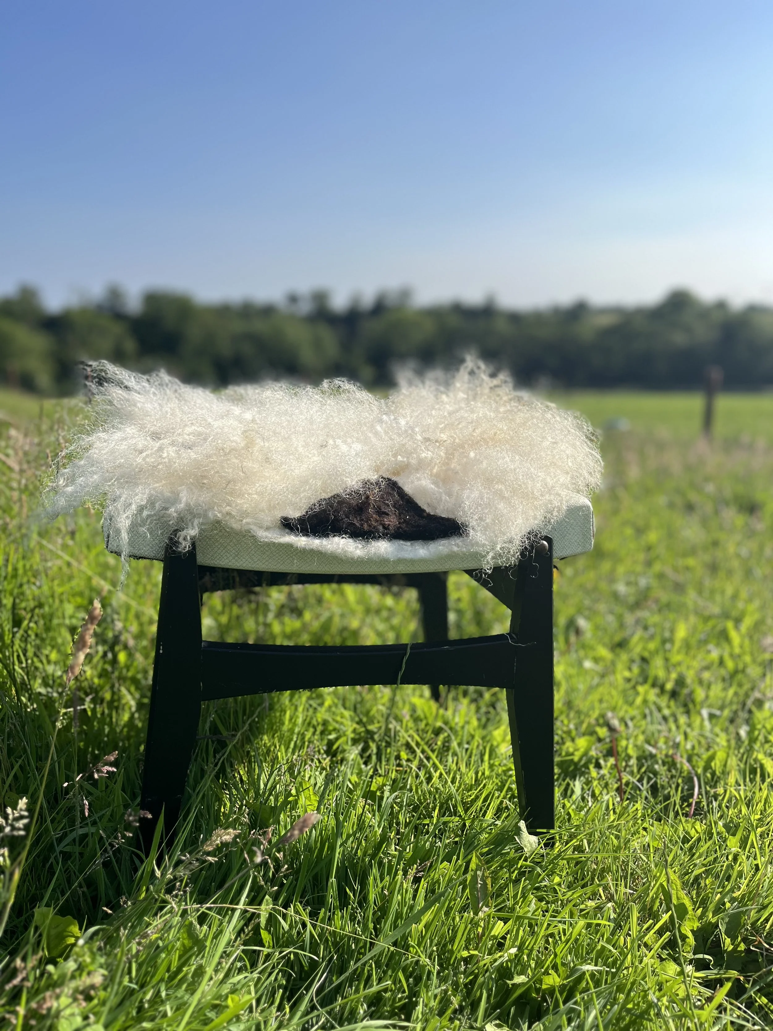 An Introduction to Felting: Wild Wool Seat Pad