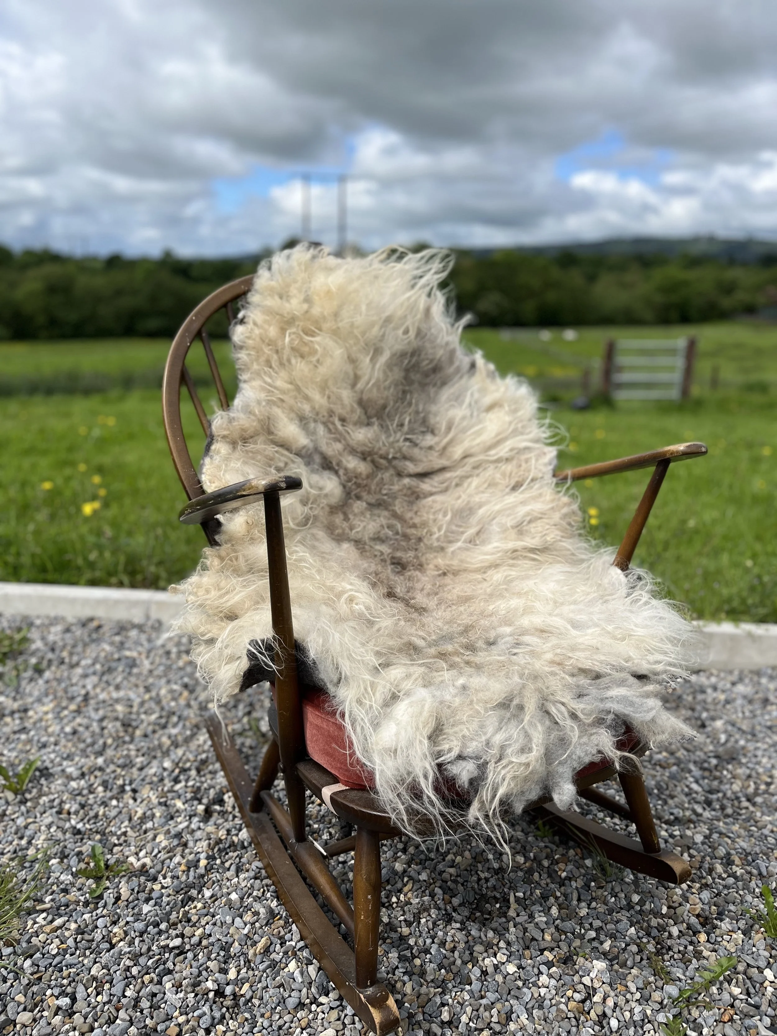 Create a Wild Wool Rug in a Day