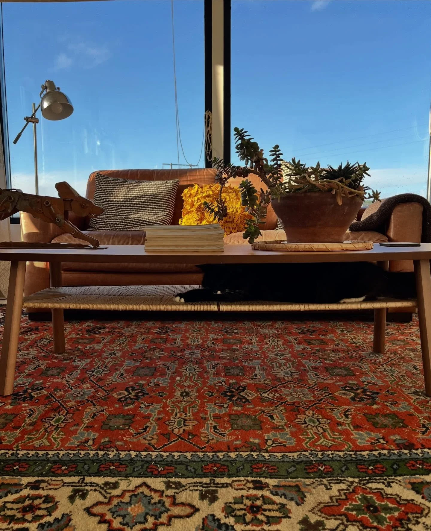 Clever cat found a new spot after me clearing out piles of newspapers #catsofinstagram #bonnieandclyde