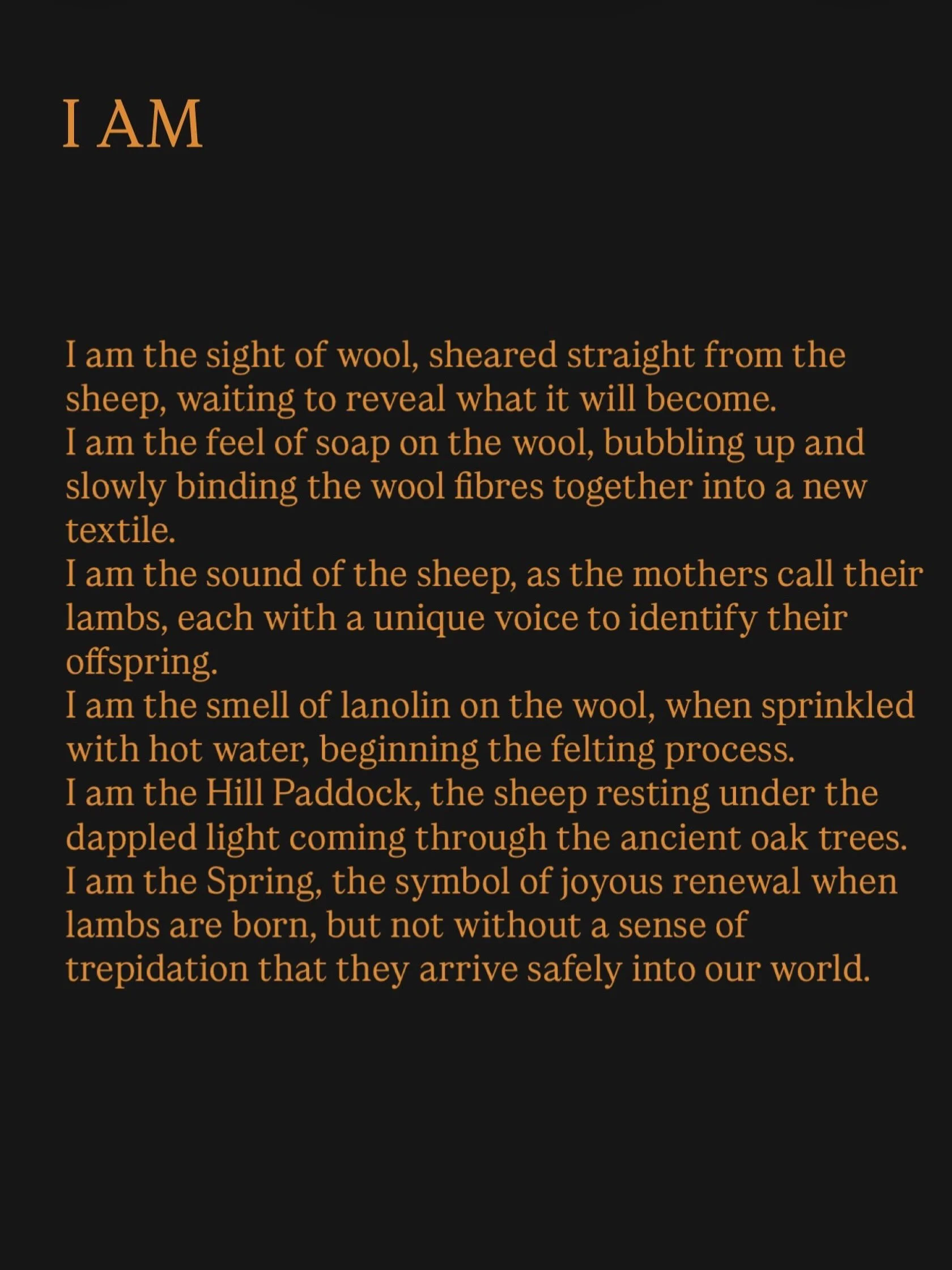 A poem I wrote during a creative writing workshop, encapsulating a moment in time in my studio. #rarebreedsheep #organicsheepfarming #irishwool #farmtofibre #feltingwool