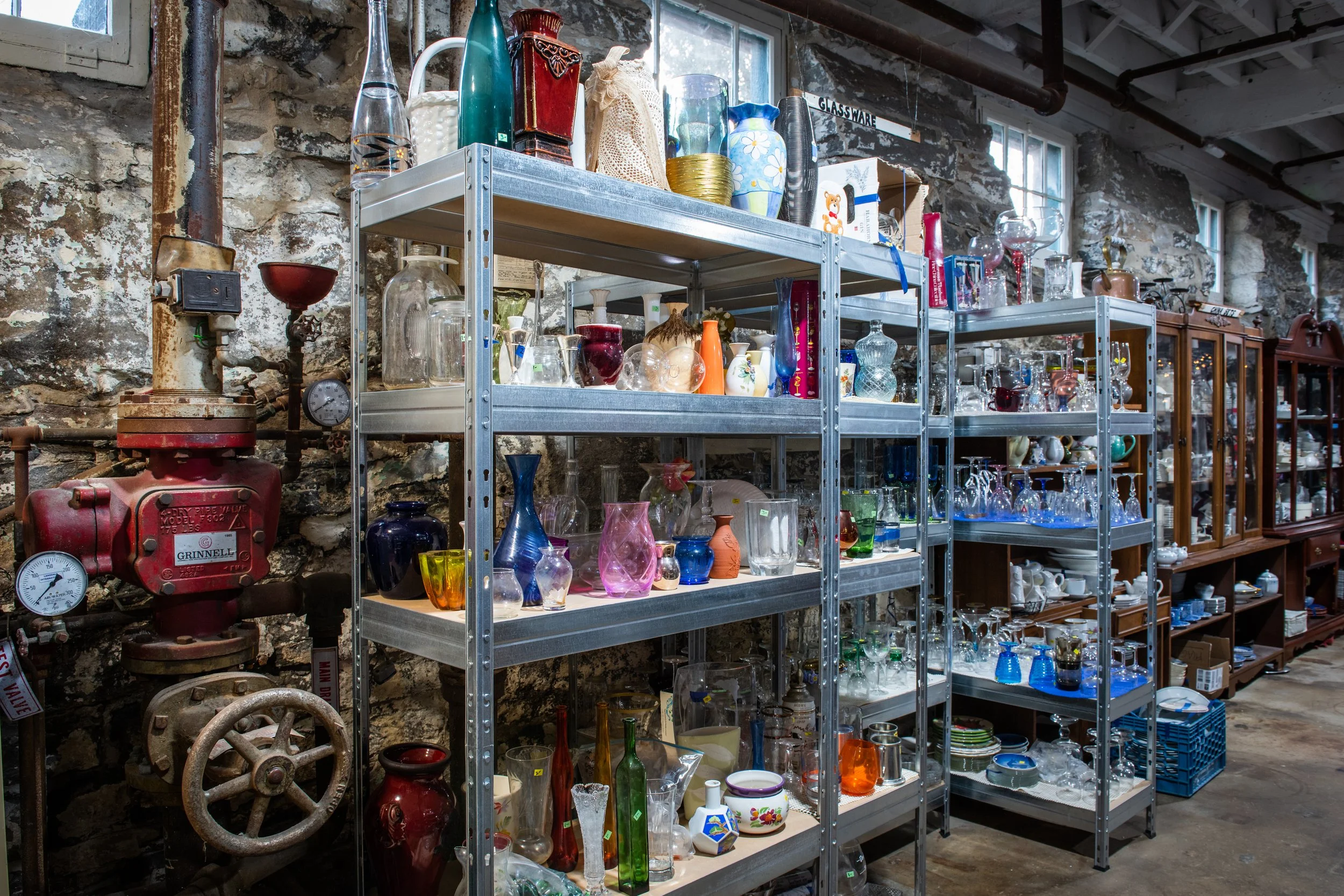 Thrift Store — Pandemonium Rainforest Project