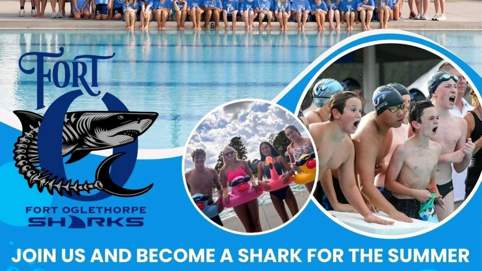 Swim with the Sharks!