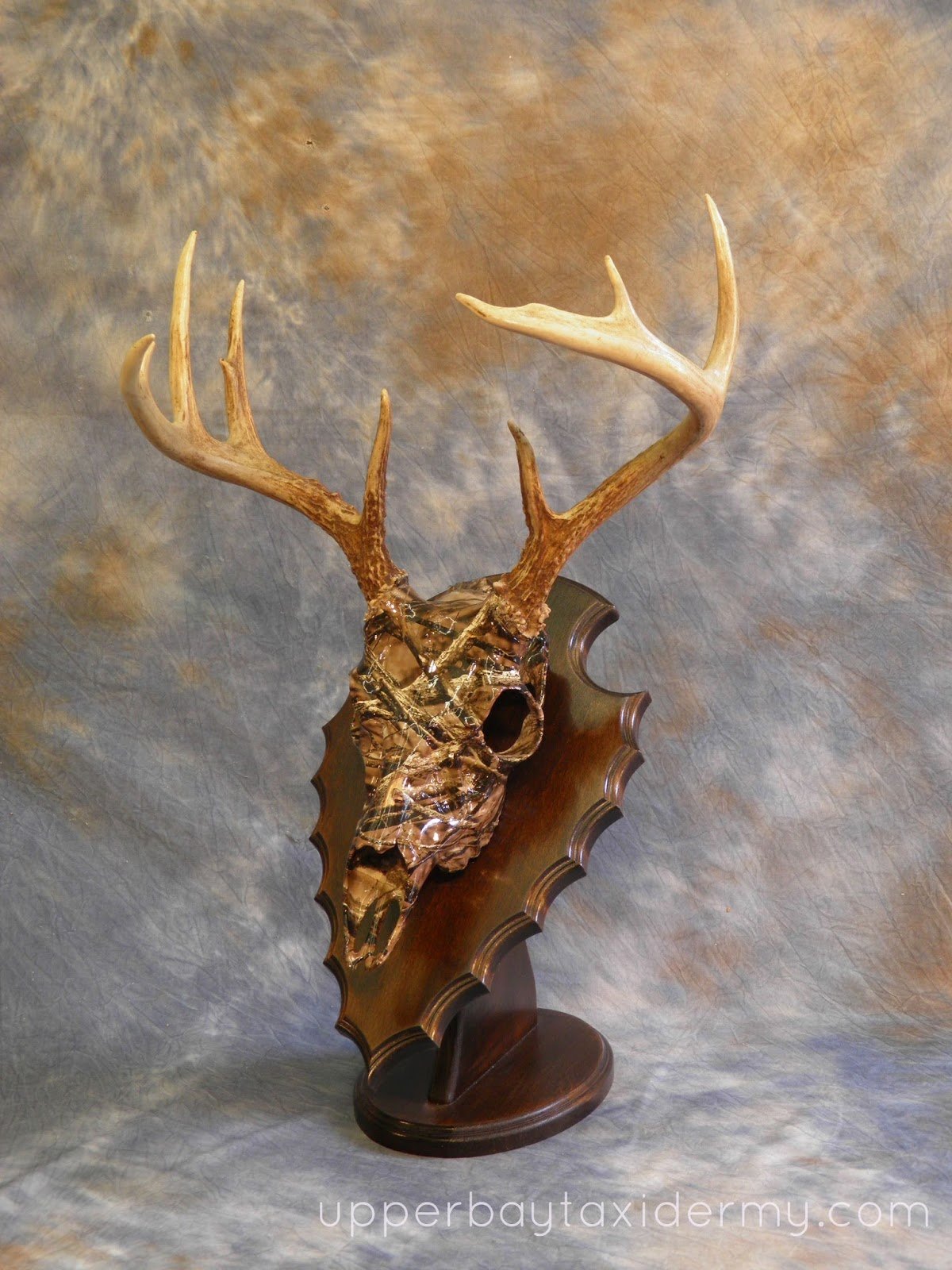 Whitetail European Skull Mount, Hydro-dipped in Timber Style Camo Pattern, on Angled Arrowhead style panel for Table Display (Copy)