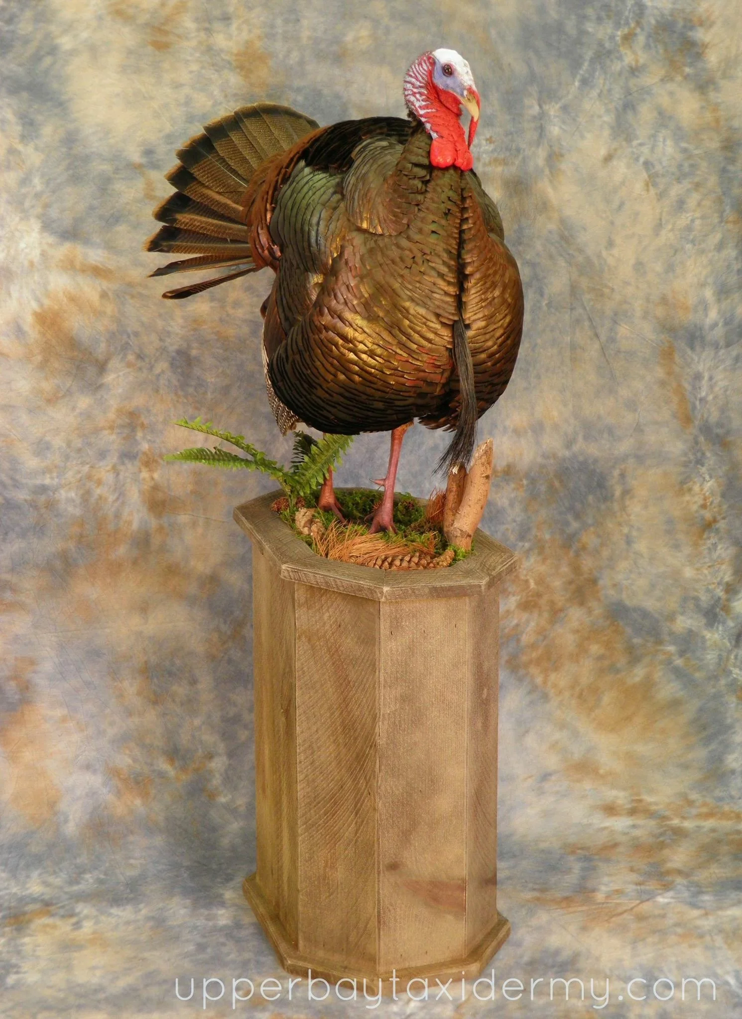 turkey 7.JPG