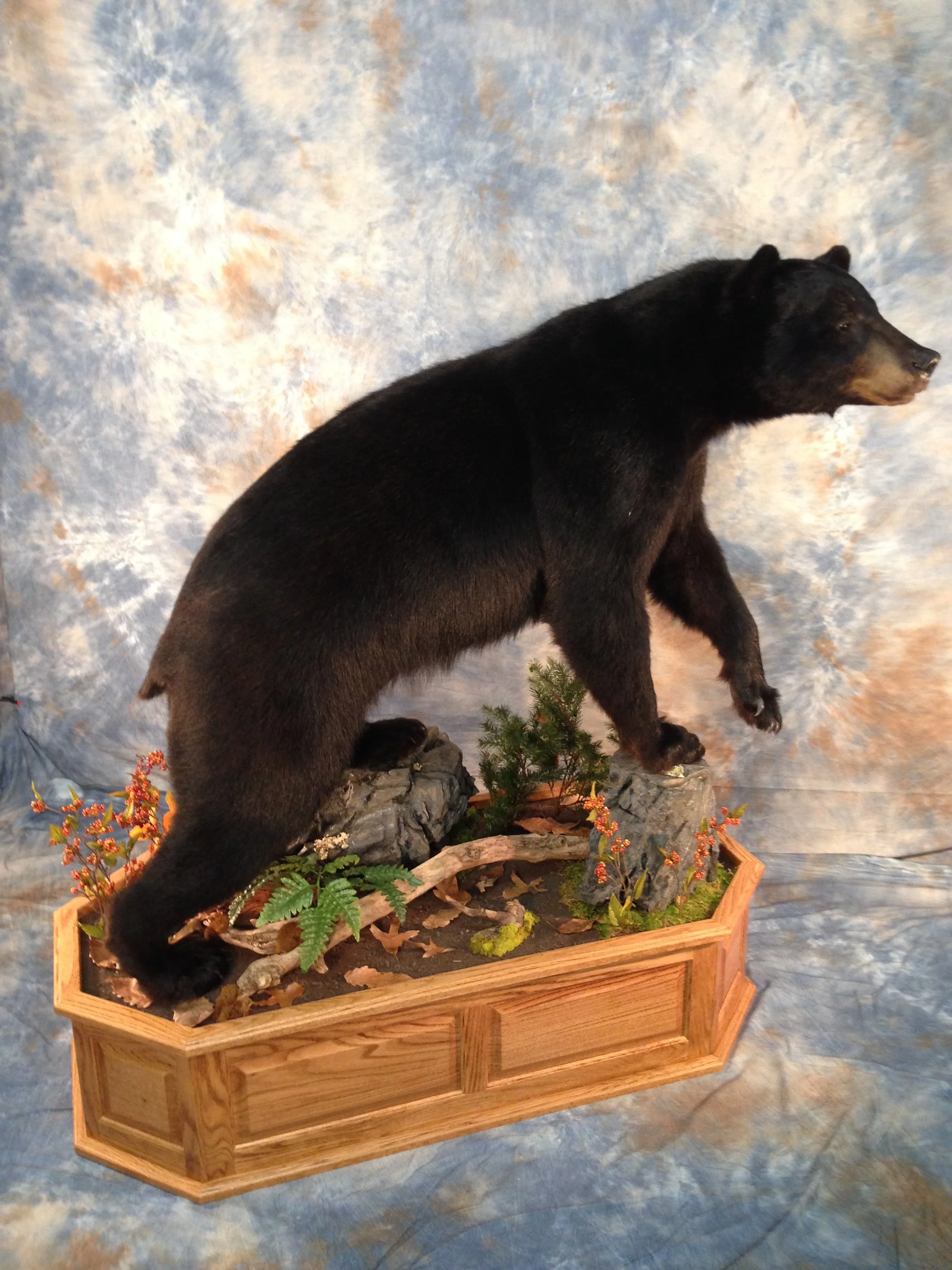 bear 2.JPG