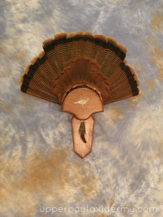 tails and beards 2.JPG