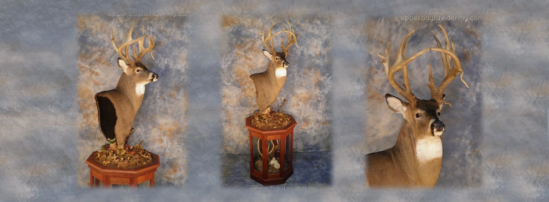 upperbay banner 1.jpg