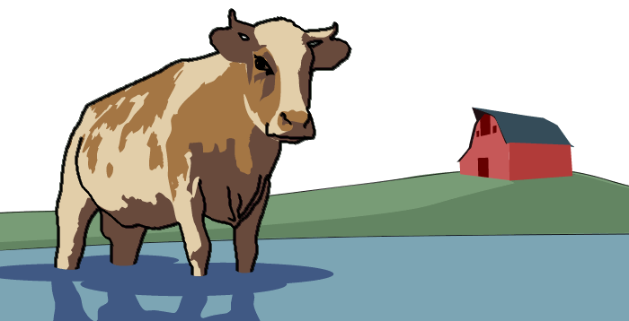 Is it a Lake or a Pond?