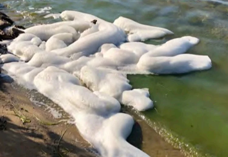 Lake Foam