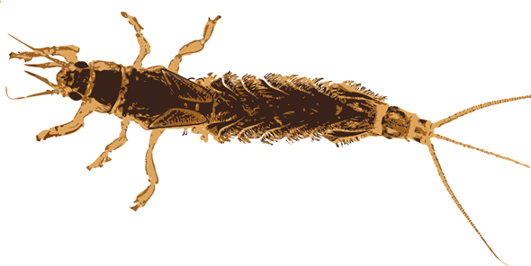 Oil and Water Don’t Mix