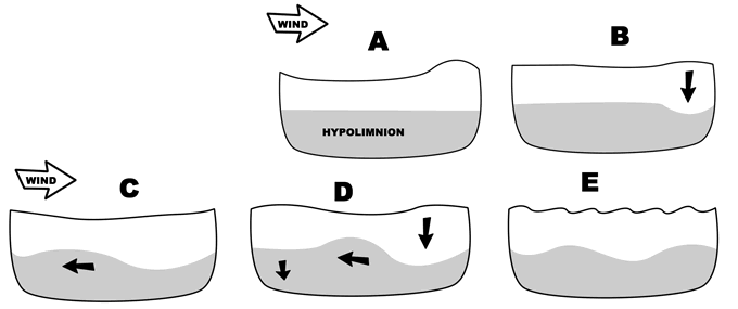 The Weird World of Waves